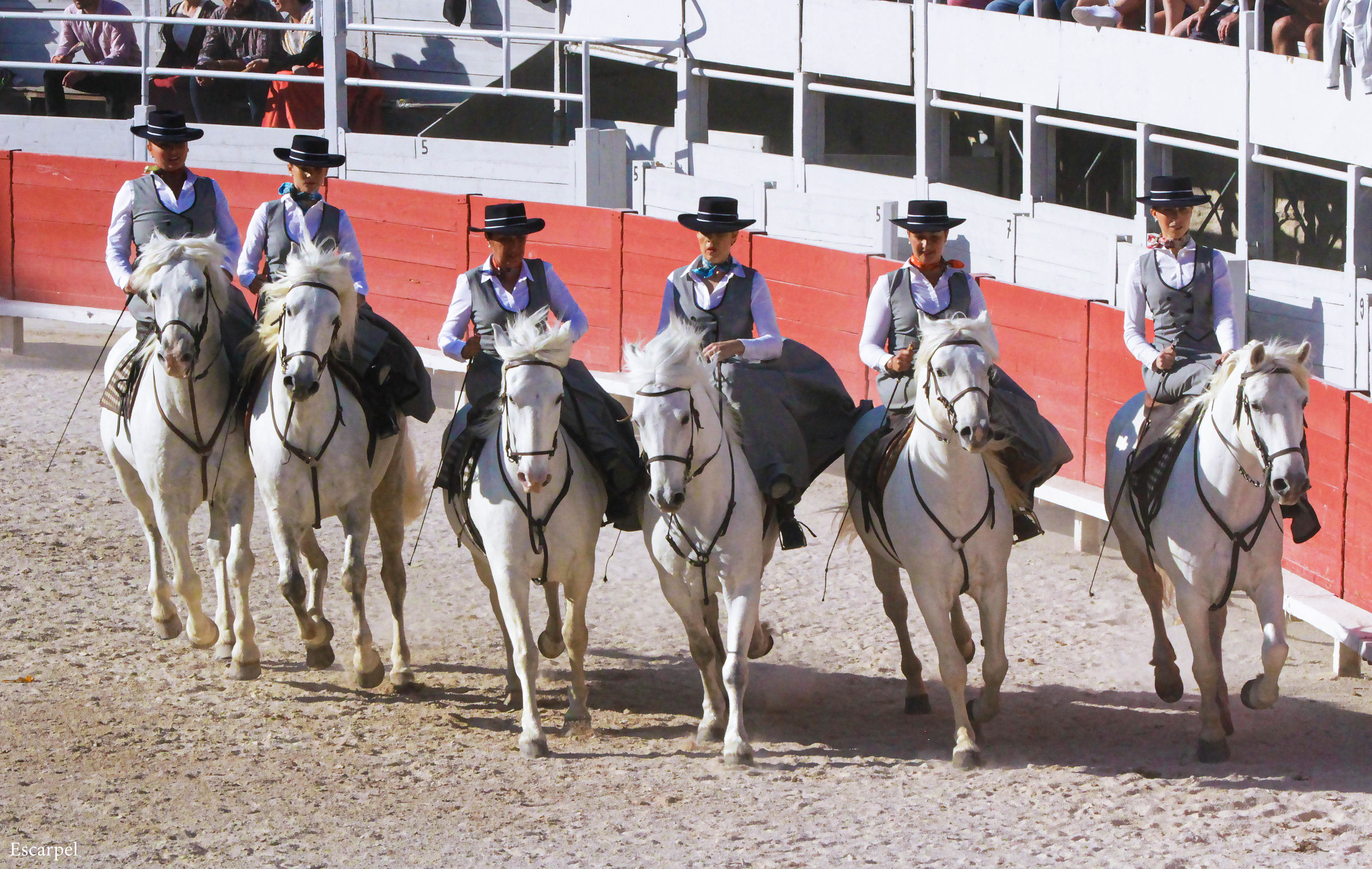 Fête des gardians, 1 er mai 2022, Arles