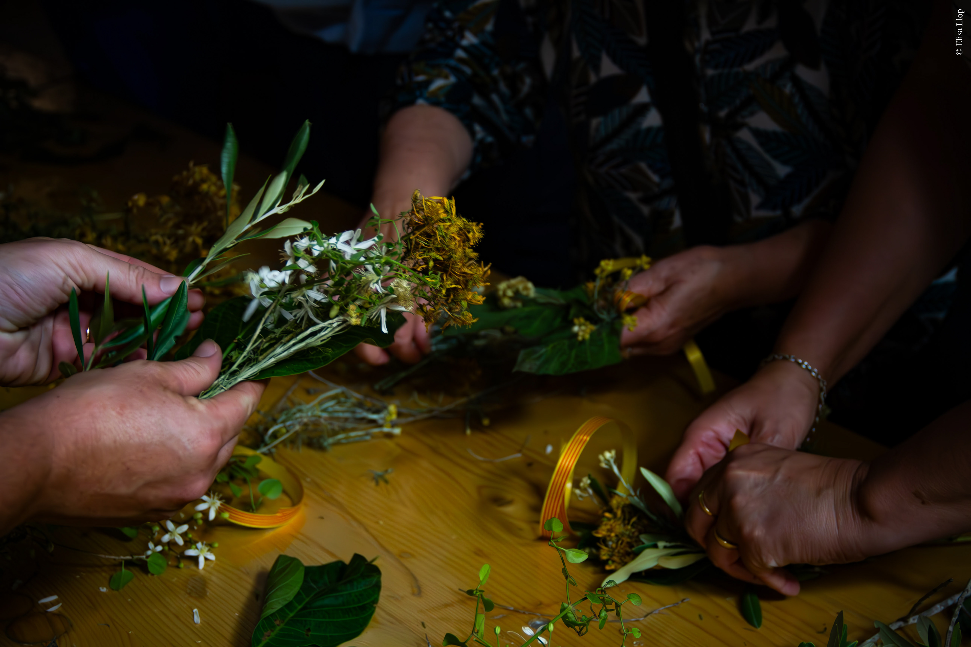 Cueillette des fleurs de la Saint-Jean, et confections des "ramallets" (bouquets) traditions catalanes, 22 juin 2023, Baixas, Pyrénées-Orientales