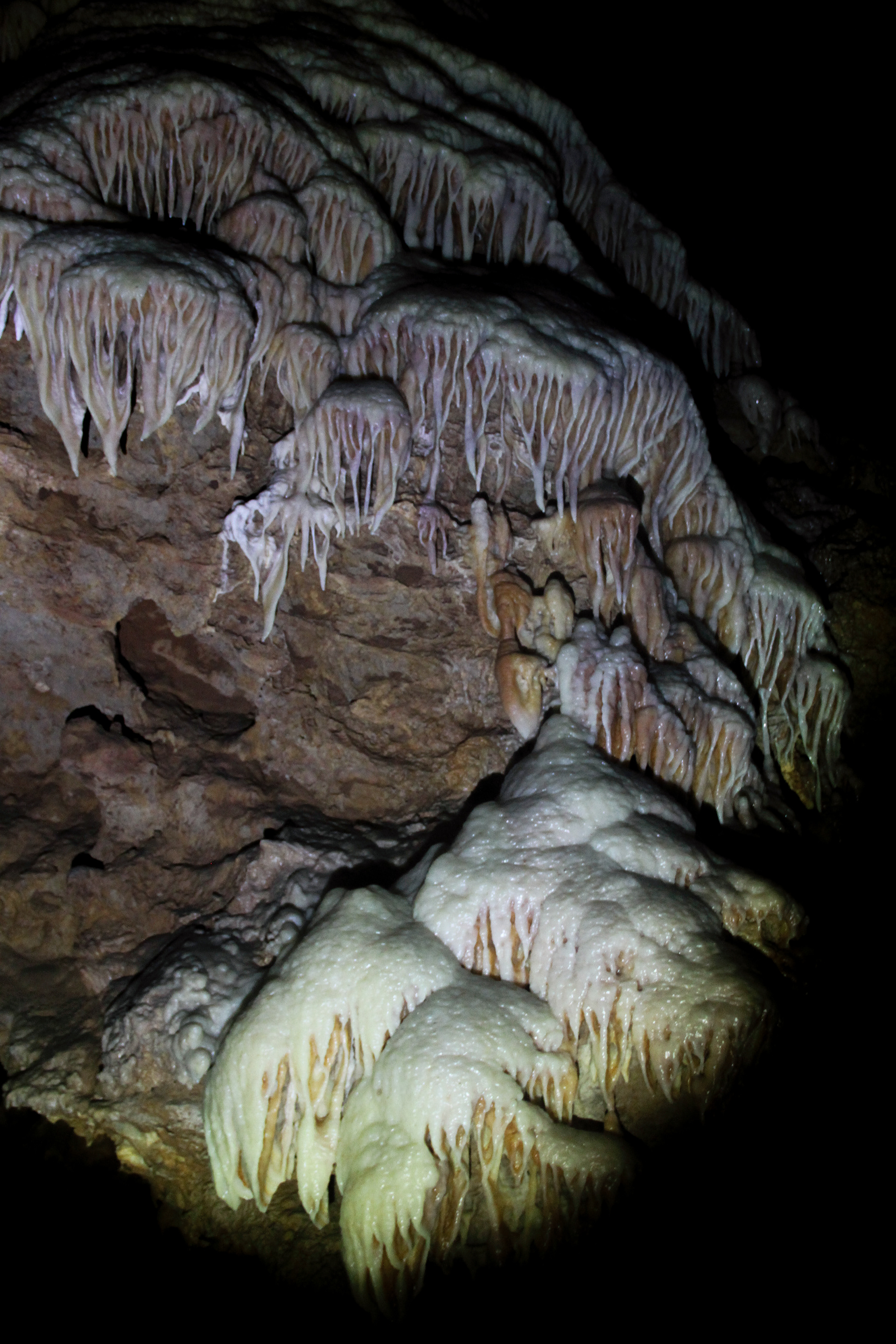Grotte de Clamouse, parties publiques. Novembre 2022, Hérault