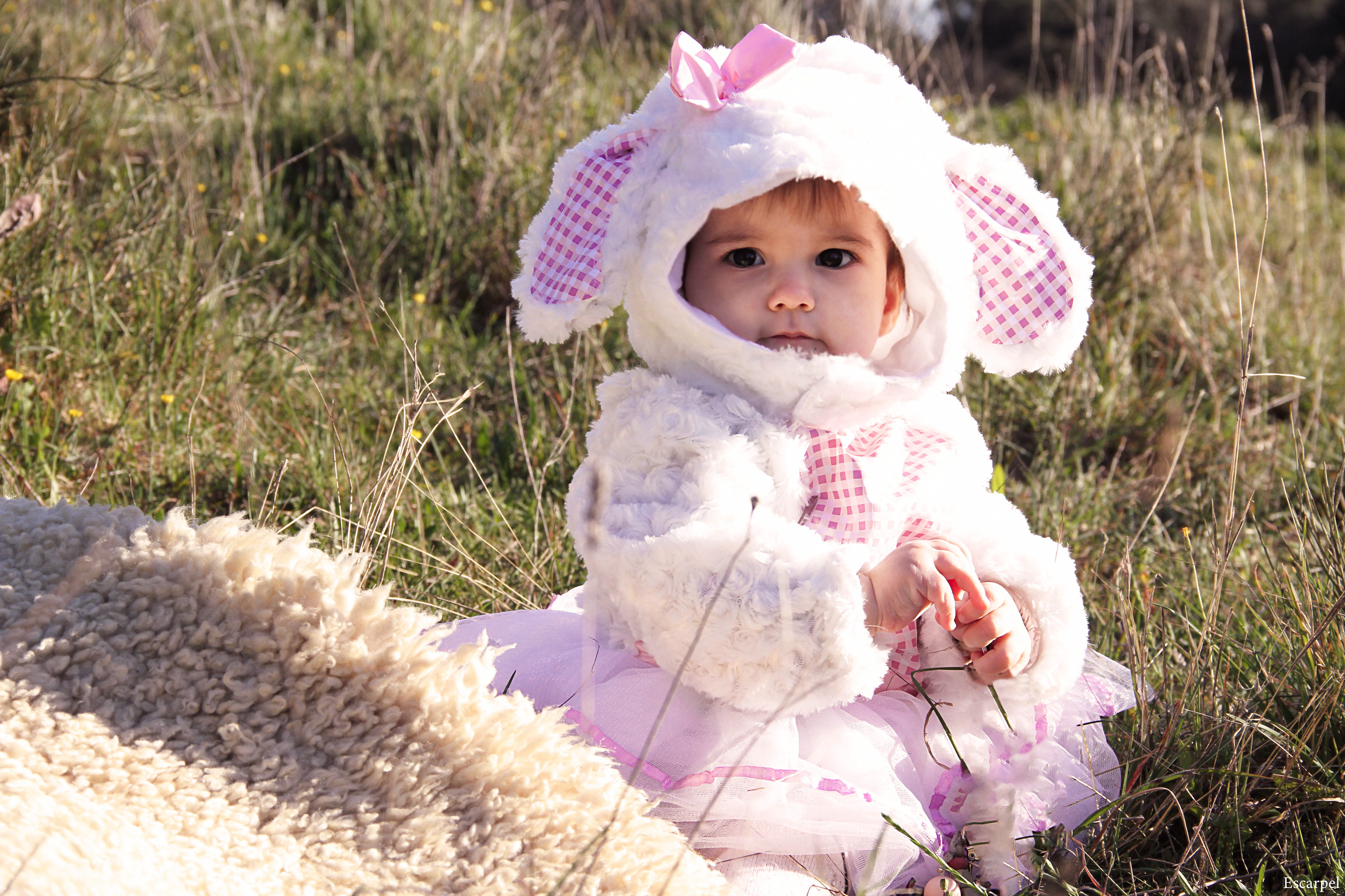 Bébé bélier, été 2021