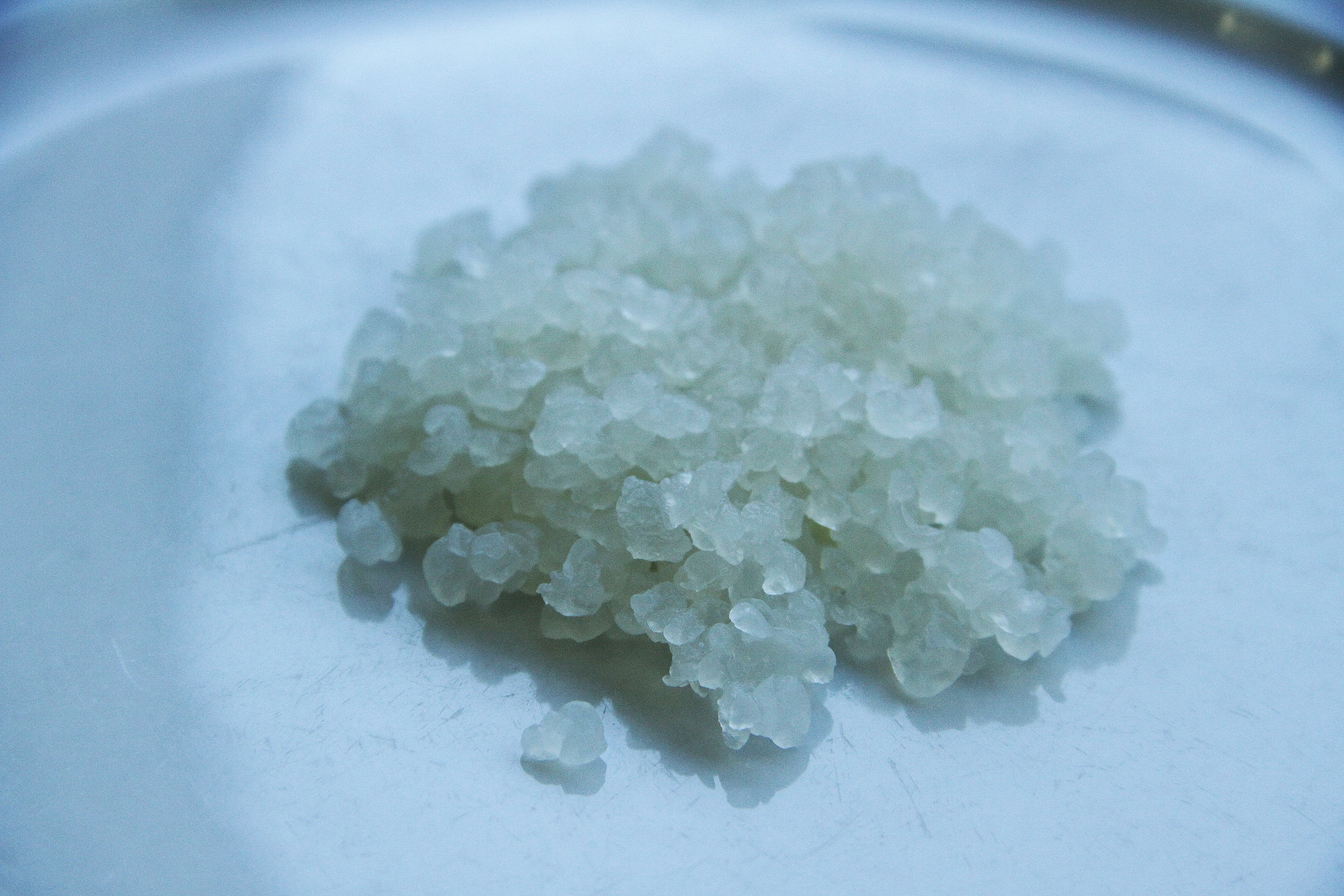Orisae - Grains de kéfir, produit plurimillénaire et porteur de légendes. L'entreprise strasbourgeoise de kits d'aliments et boissons du futur, homemade, pour pour le corps et pour la planète. Parmi les kits phares, on retrouve notamment: kéfir, kombutcha... et pleins d'aliments surprises vous attendent!  Février 2020,  Strasbourg 