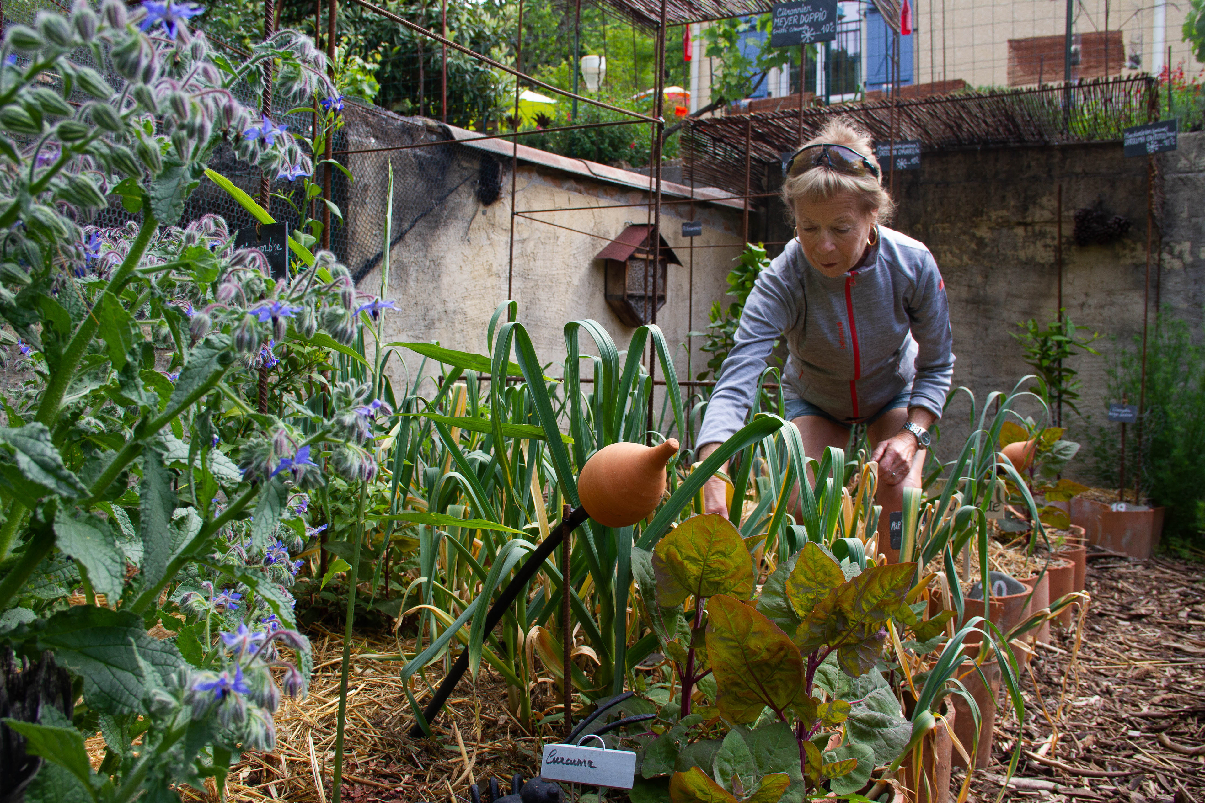 Cathy Babau, meilleure jardinière de France. Occitanie, les métiers botaniques impactés par la sécheresse précoce, mai 2023, Haut-Languedoc, Occitanie