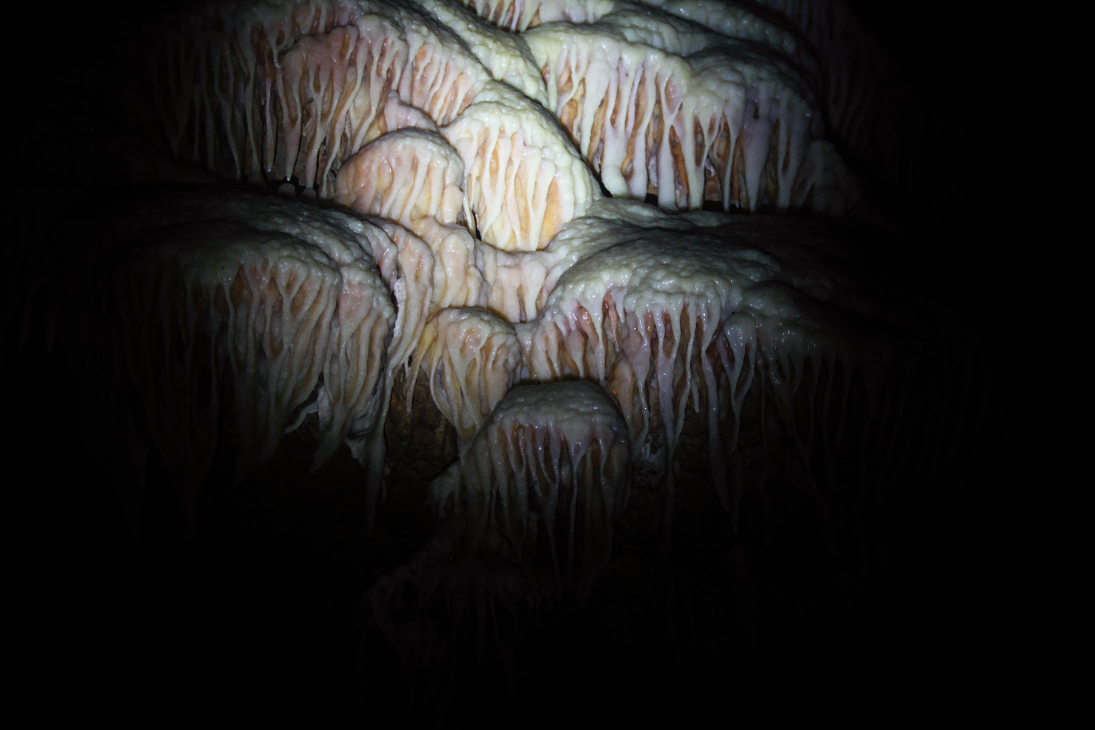 Grotte de Clamouse, parties publiques. Novembre 2022, Hérault