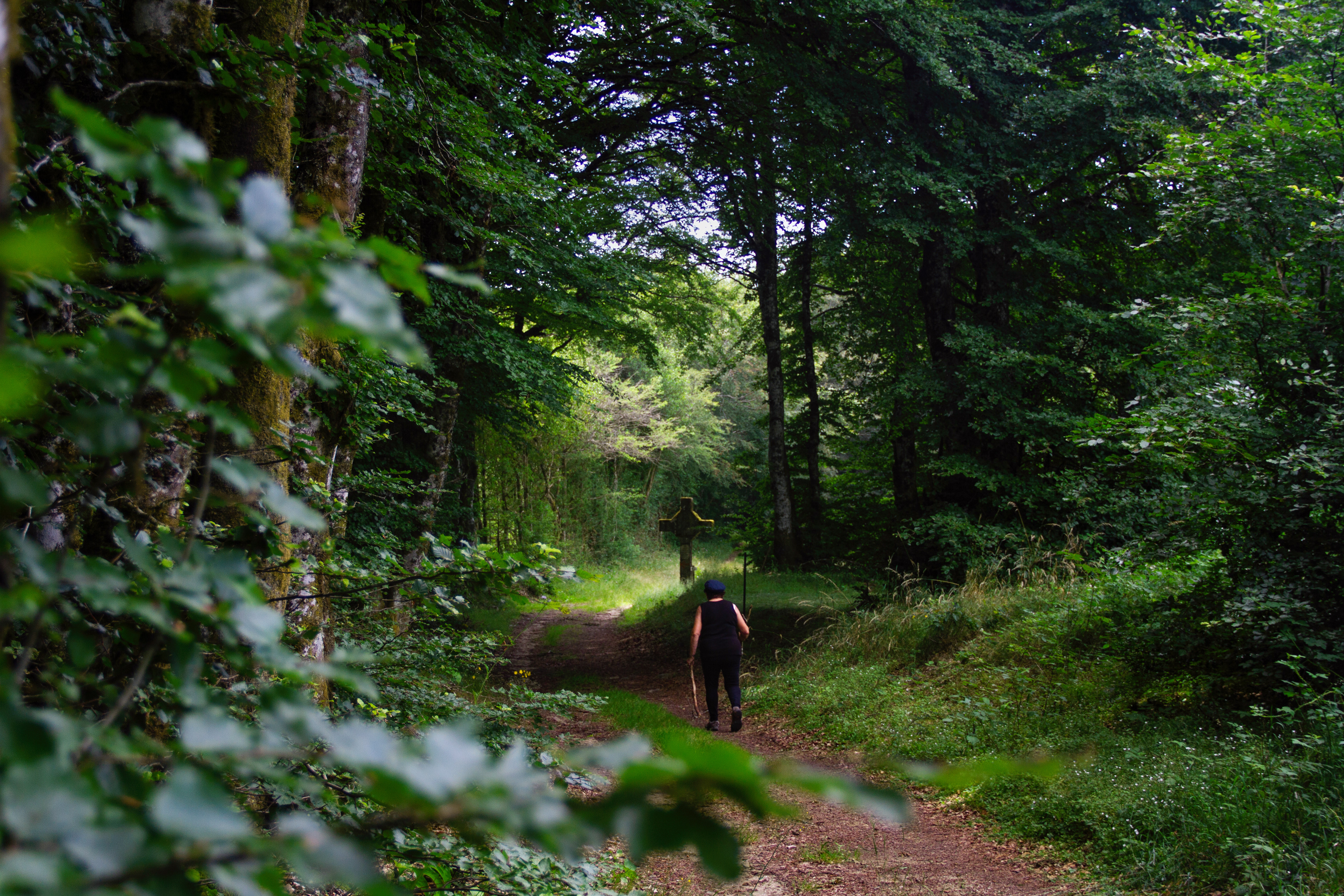 Le Chemin de croix du village du Soulié, perdu dans le Haut-Languedoc. Cette région au nord-ouest du département de l’Hérault, havre de verdure, continue pourtant elle aussi d'être touchée par la sécheresse. La procession pour la pluie du village du Soulié est, à bien des égards, un cas bien particulier parmi les processions pour la pluie, comme nous allons le voir. Elle portait même un nom, la San Brancari. Elle avait lieu selon le besoin, mais quasiment chaque année, toujours pour le lundi de Pentecôte. Le pèlerinage suivait le chemin des quatorze croix, jusqu’au calvaire, pour implorer le saint éponyme.