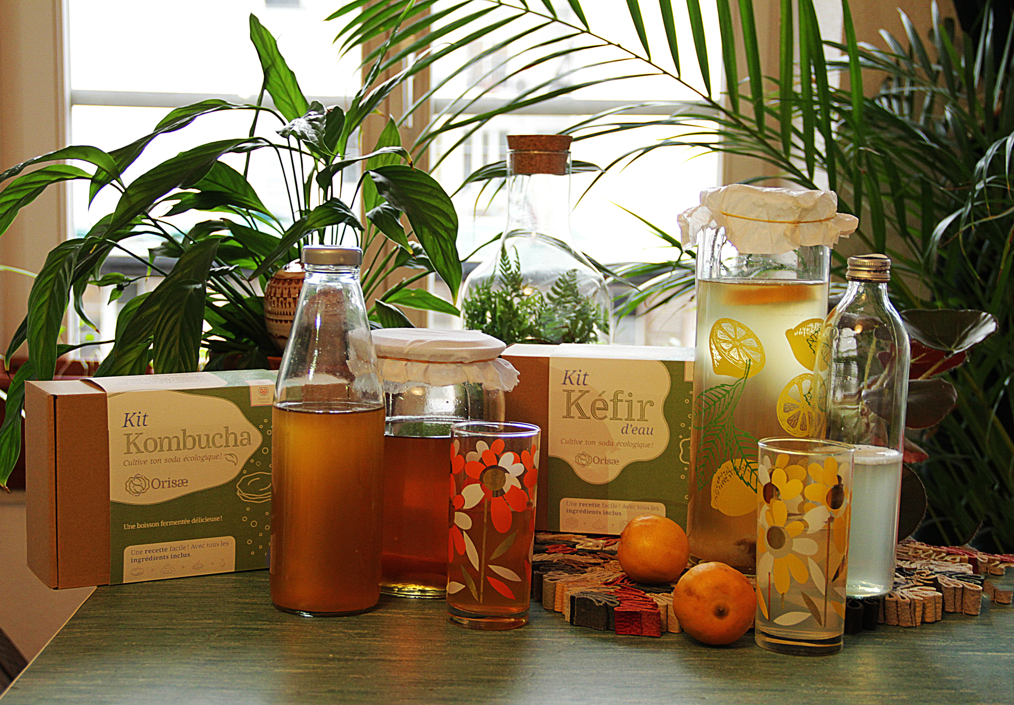 Orisae - Réception des kits à la maison.L'entreprise strasbourgeoise de kits d'aliments et boissons du futur, homemade, pour pour le corps et pour la planète. Parmi les kits phares, on retrouve notamment: kéfir, kombutcha... et pleins d'aliments surprises vous attendent!  Février 2020,  Strasbourg 