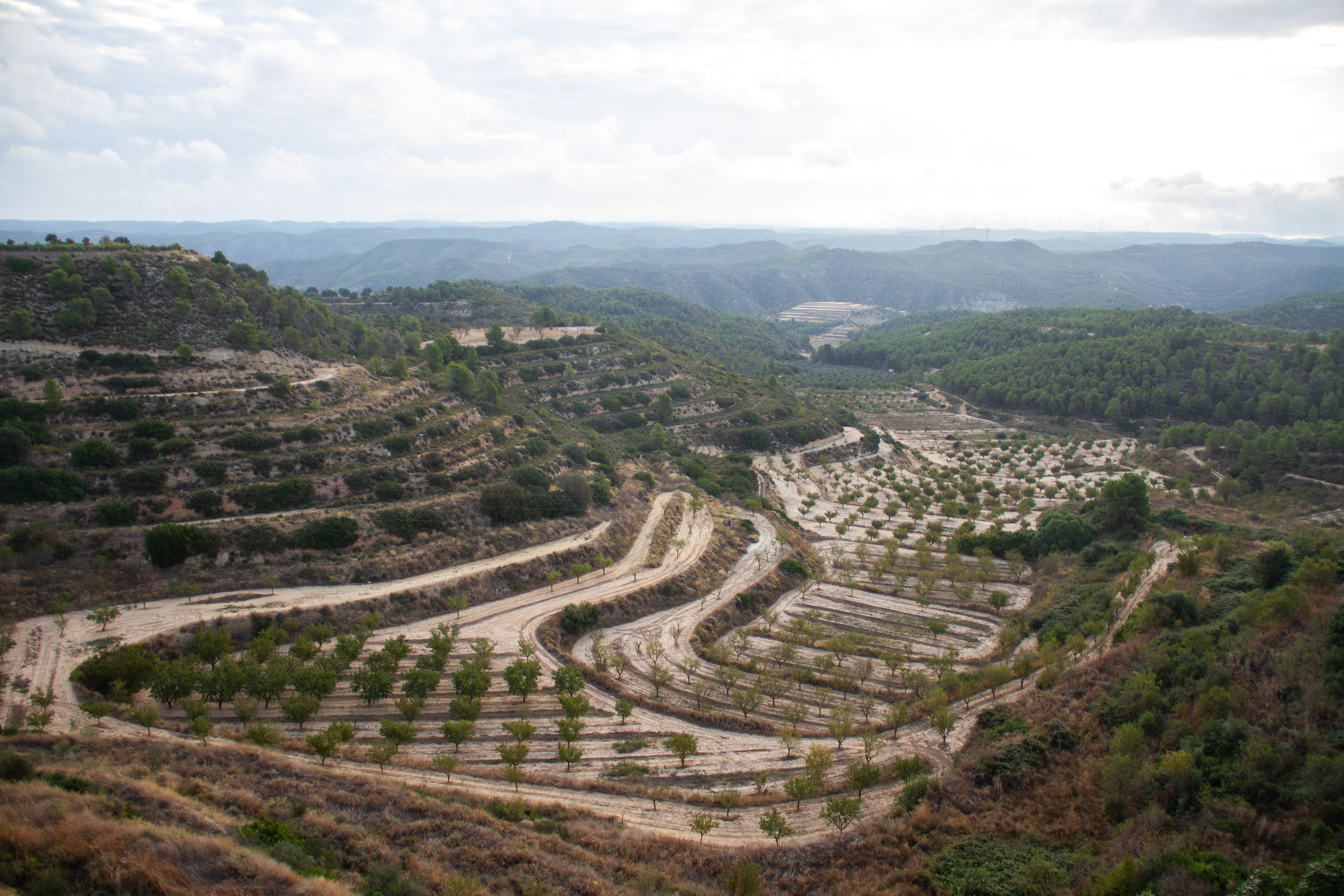 Septembre 2025, à la Pobla de Massaluca, village d'origine en Catalogne du sud