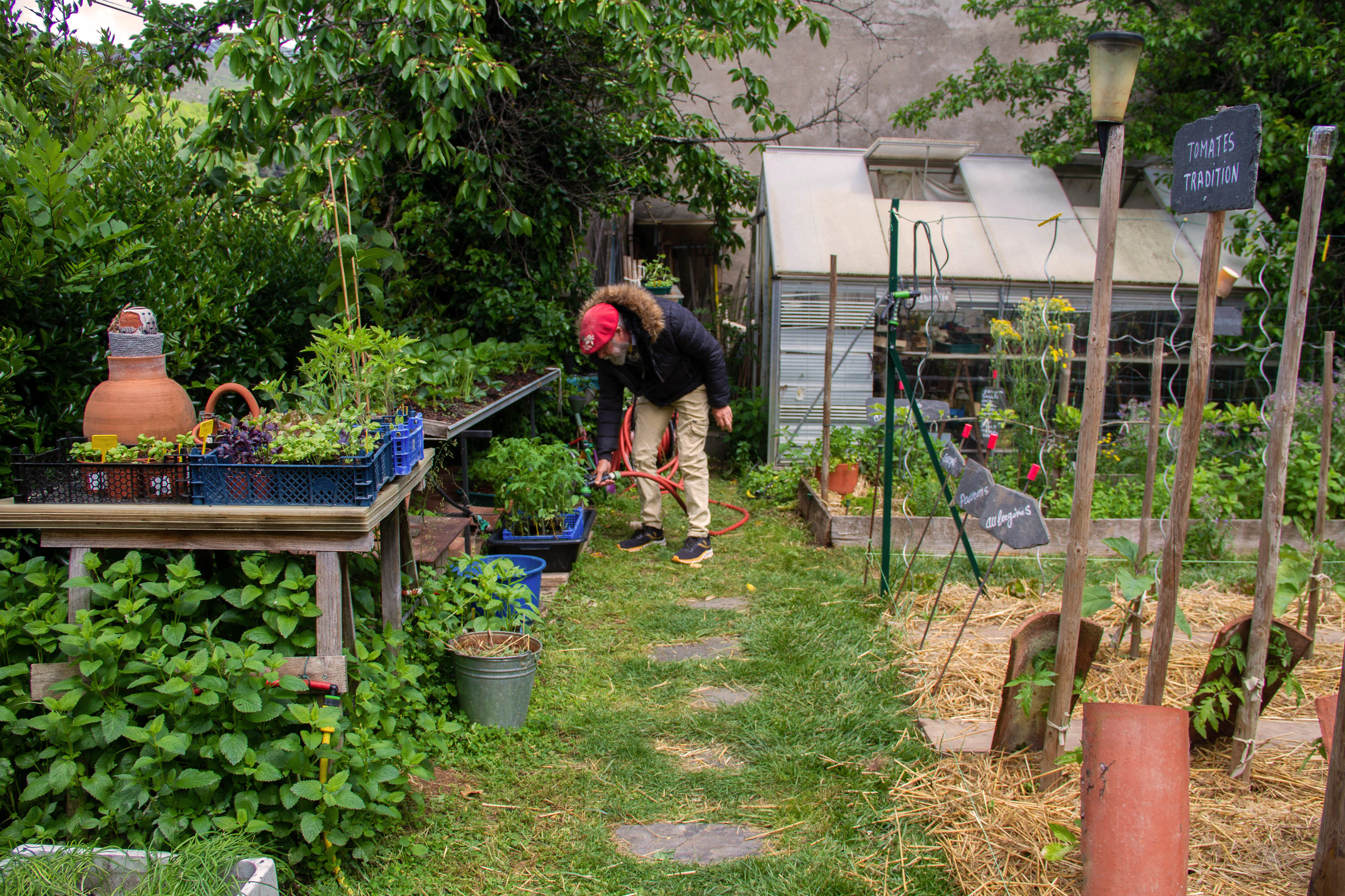 Jean Aribaud, meilleur jardinier de France. Occitanie, les métiers botaniques impactés par la sécheresse précoce, mai 2023, Haut-Languedoc, Occitanie