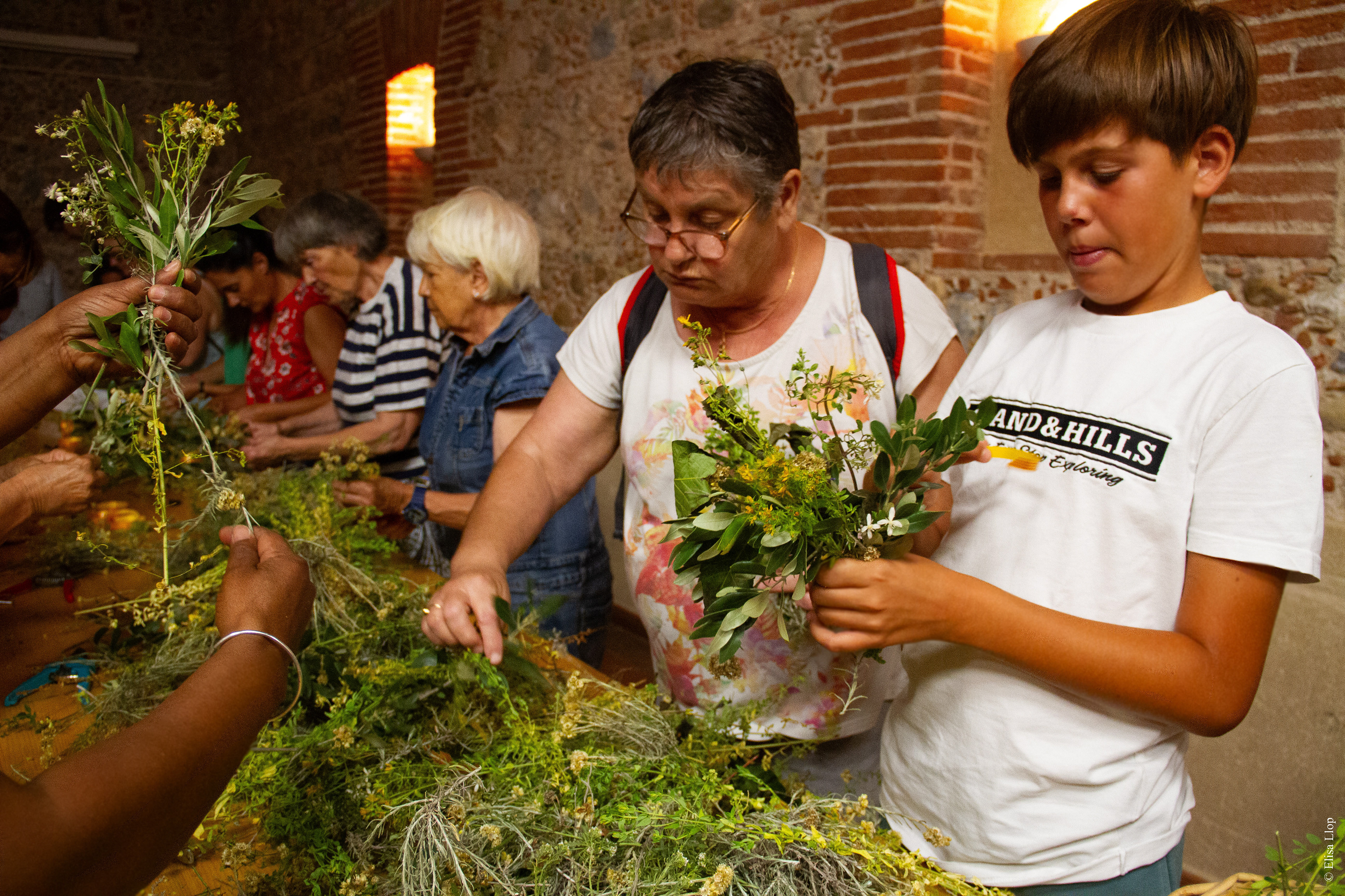 Cueillette des fleurs de la Saint-Jean, et confections des "ramallets" (bouquets) traditions catalanes, 22 juin 2023, Baixas, Pyrénées-Orientales