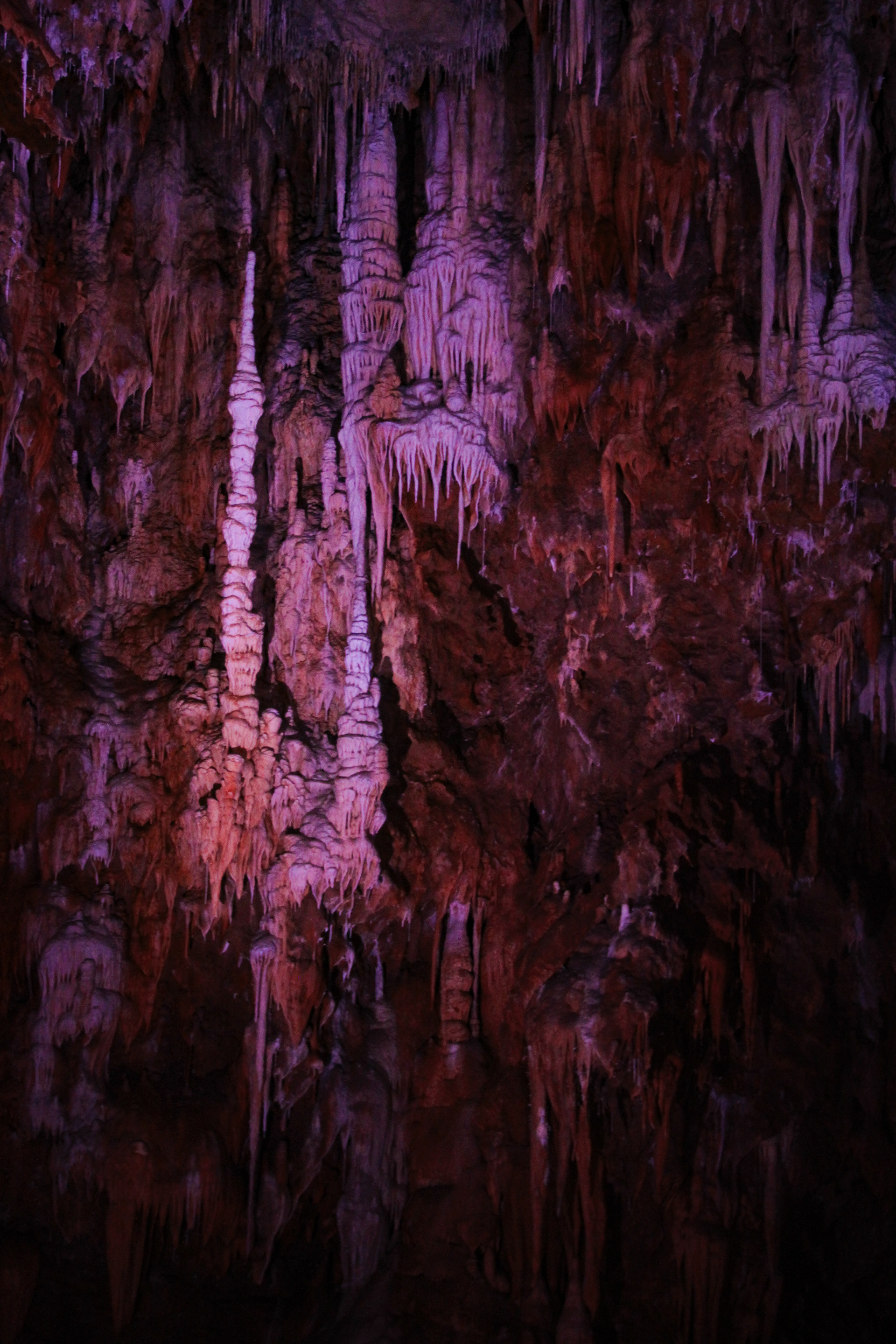 Grotte de Clamouse, parties publiques. Novembre 2022, Hérault