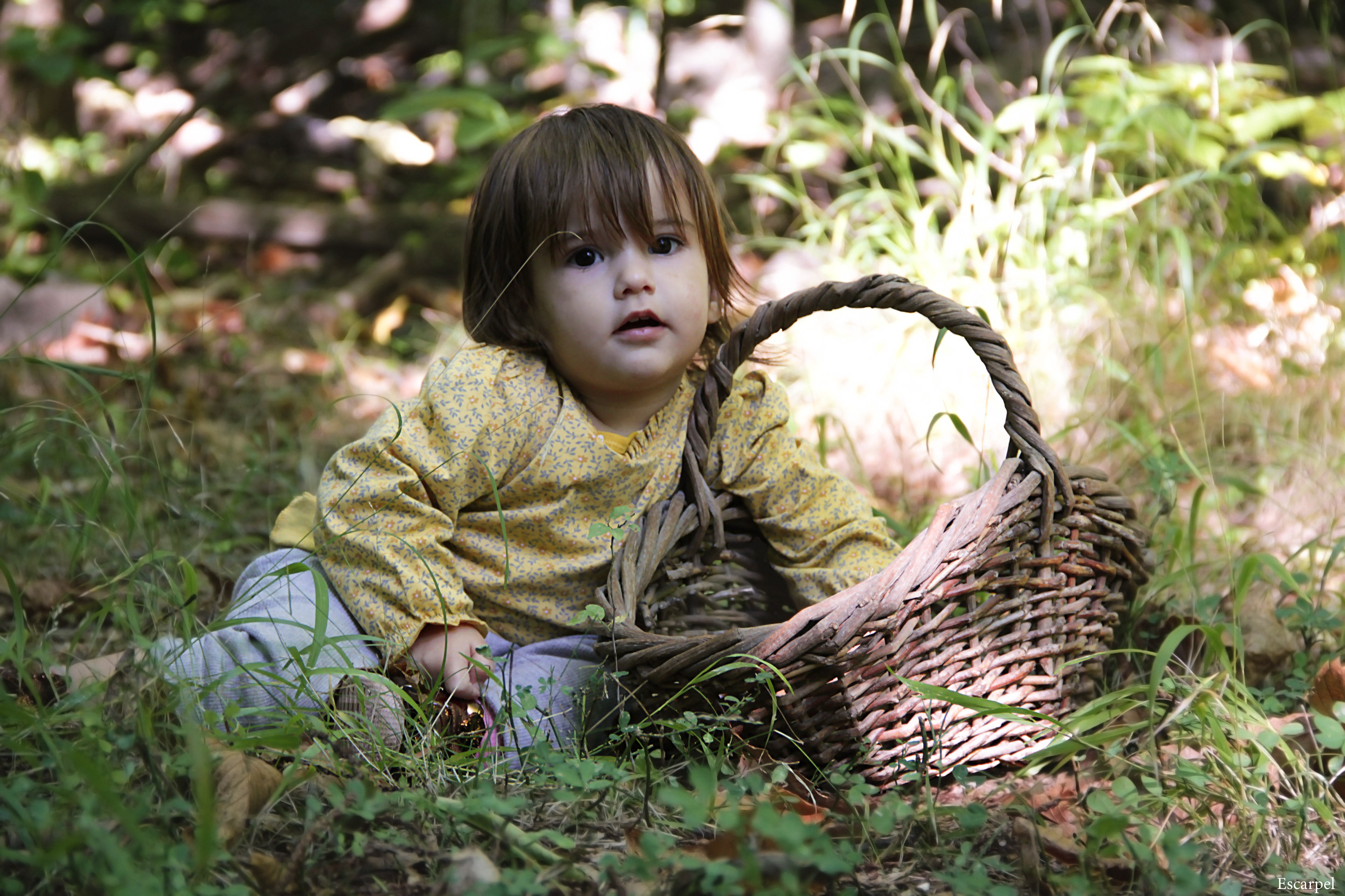 Baby shoot, octobre 2021