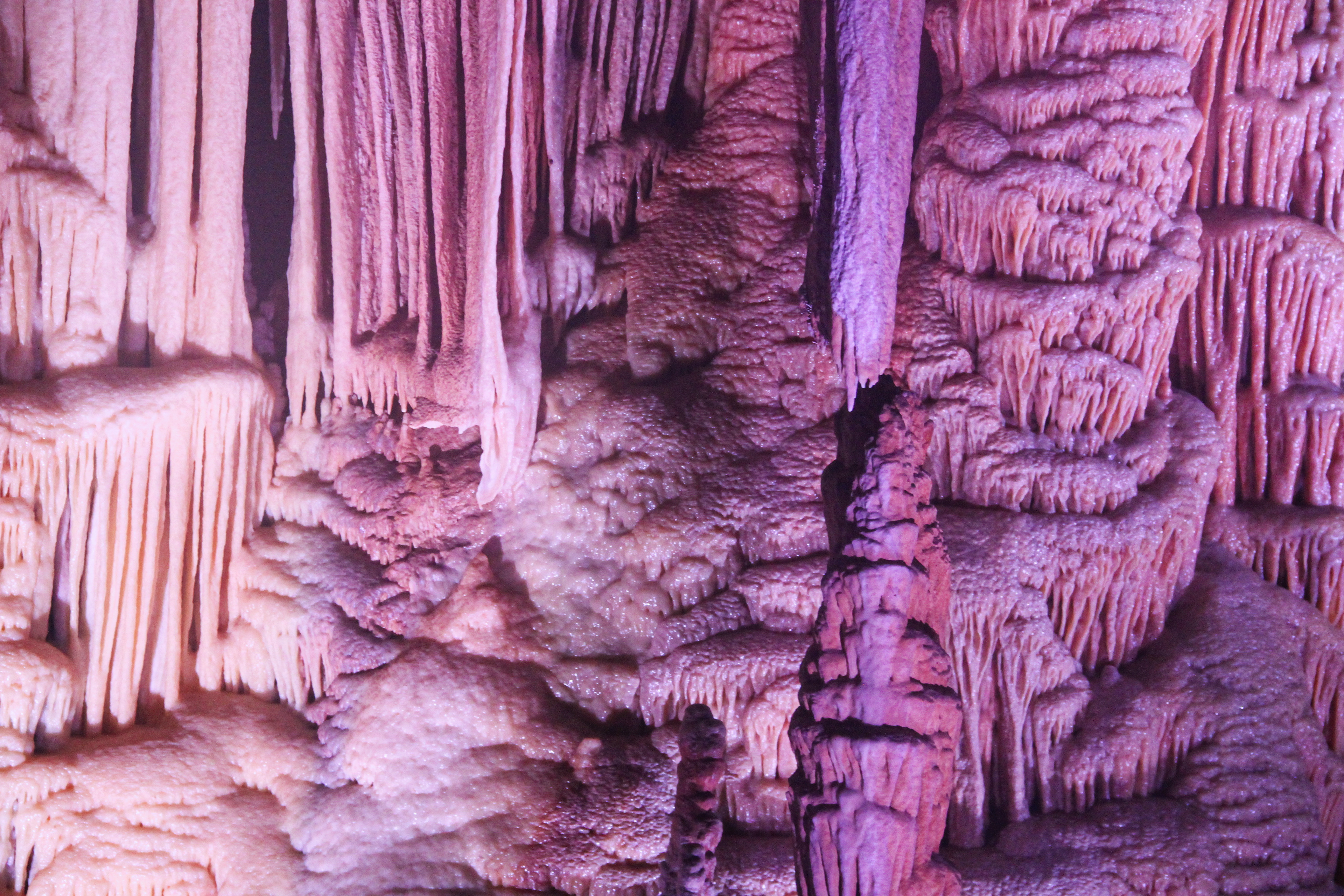 Grotte de Clamouse, parties publiques. Novembre 2022, Hérault
