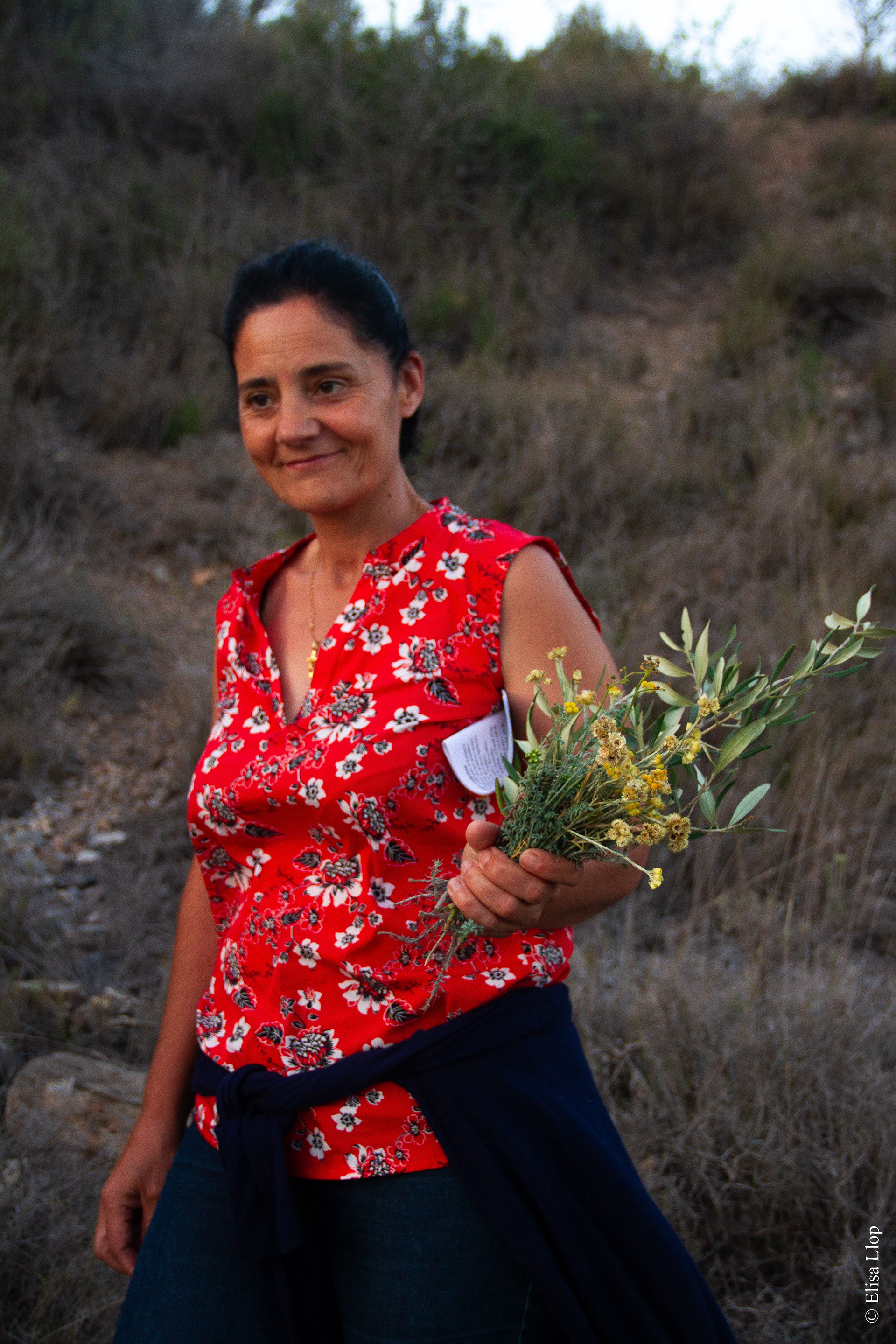 Cueillette des fleurs de la Saint-Jean, et confections des "ramallets" (bouquets) traditions catalanes, 22 juin 2023, Baixas, Pyrénées-Orientales