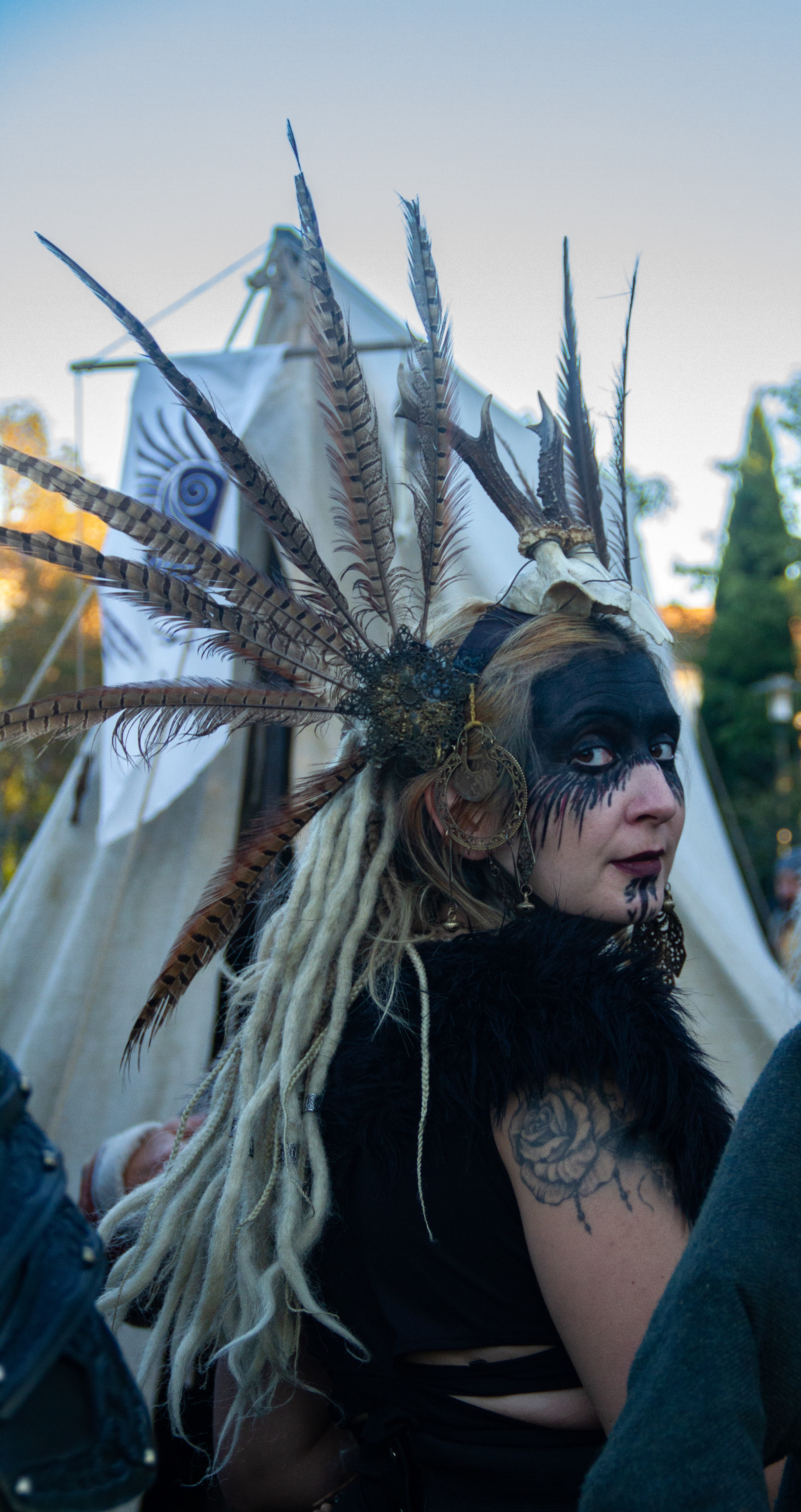 Fête Viking l'Isle-sur-la-Sorgue, octobre 2024