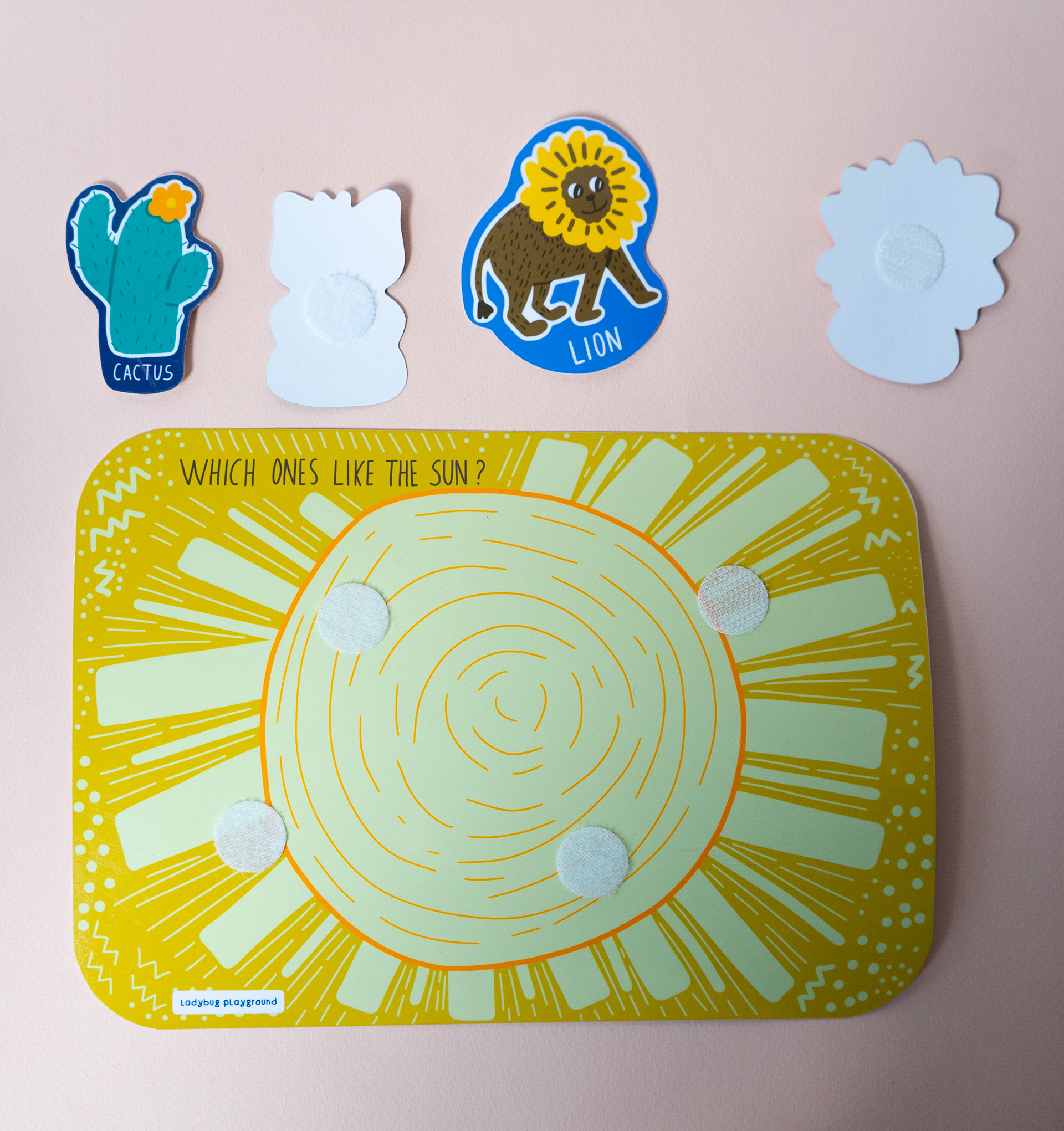 4) Sorting Game / What belongs in the rain? What belongs in the sun? (Cognitive Activity)
