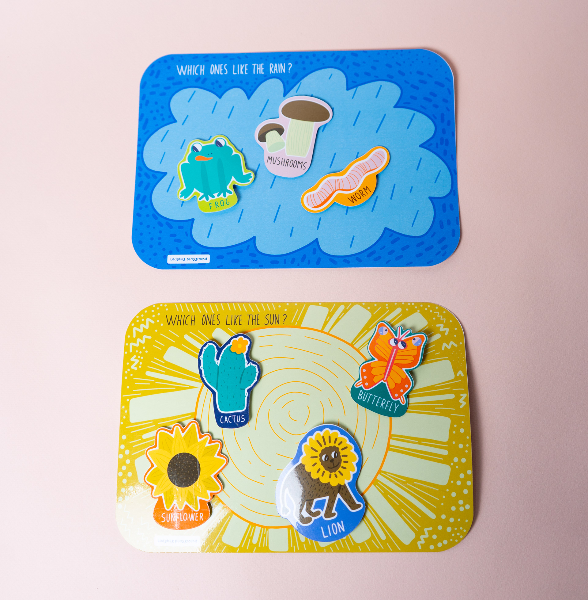 4) Sorting Game / What belongs in the rain? What belongs in the sun? (Cognitive Activity)