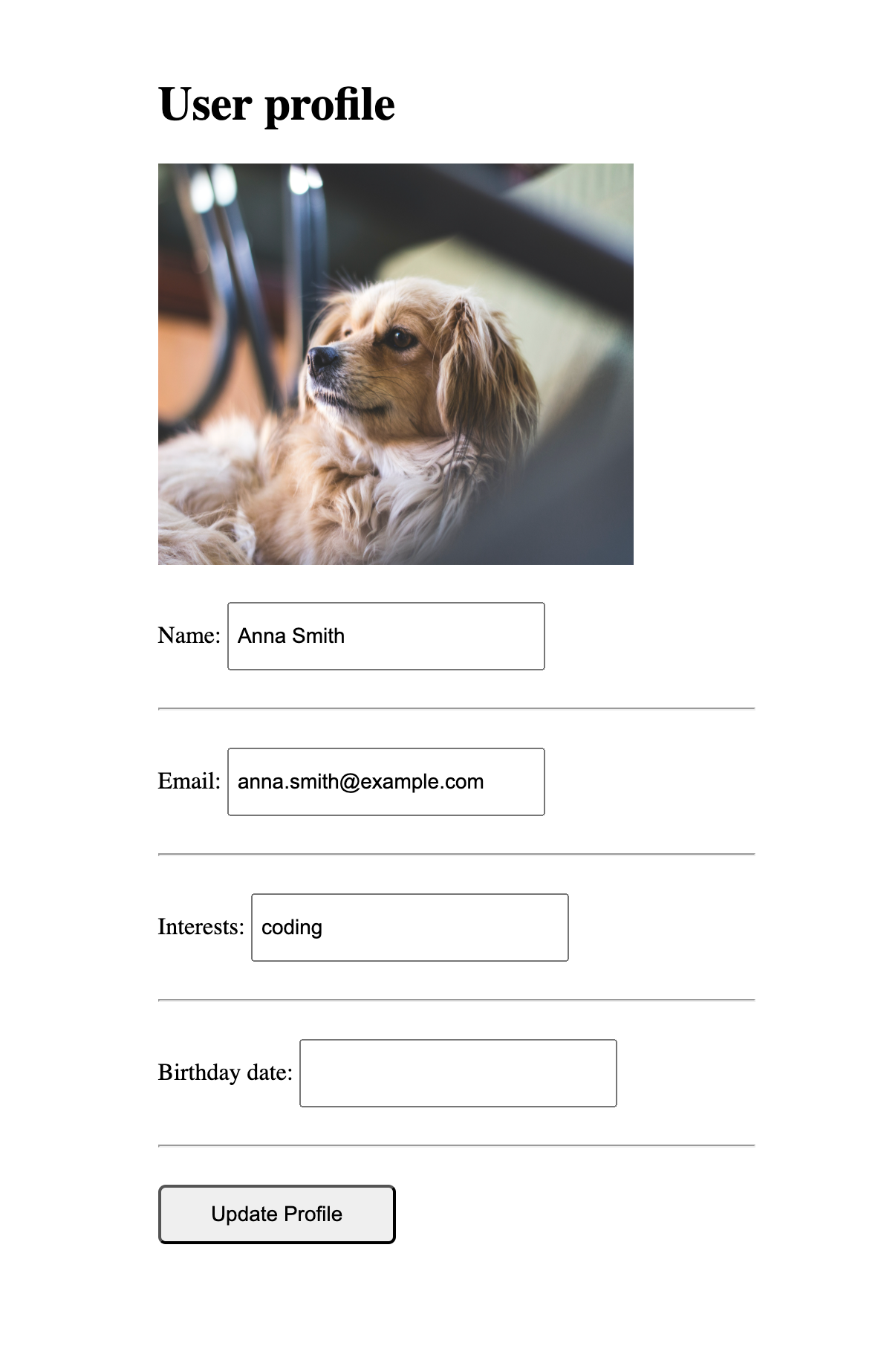 Page 2 | input fields