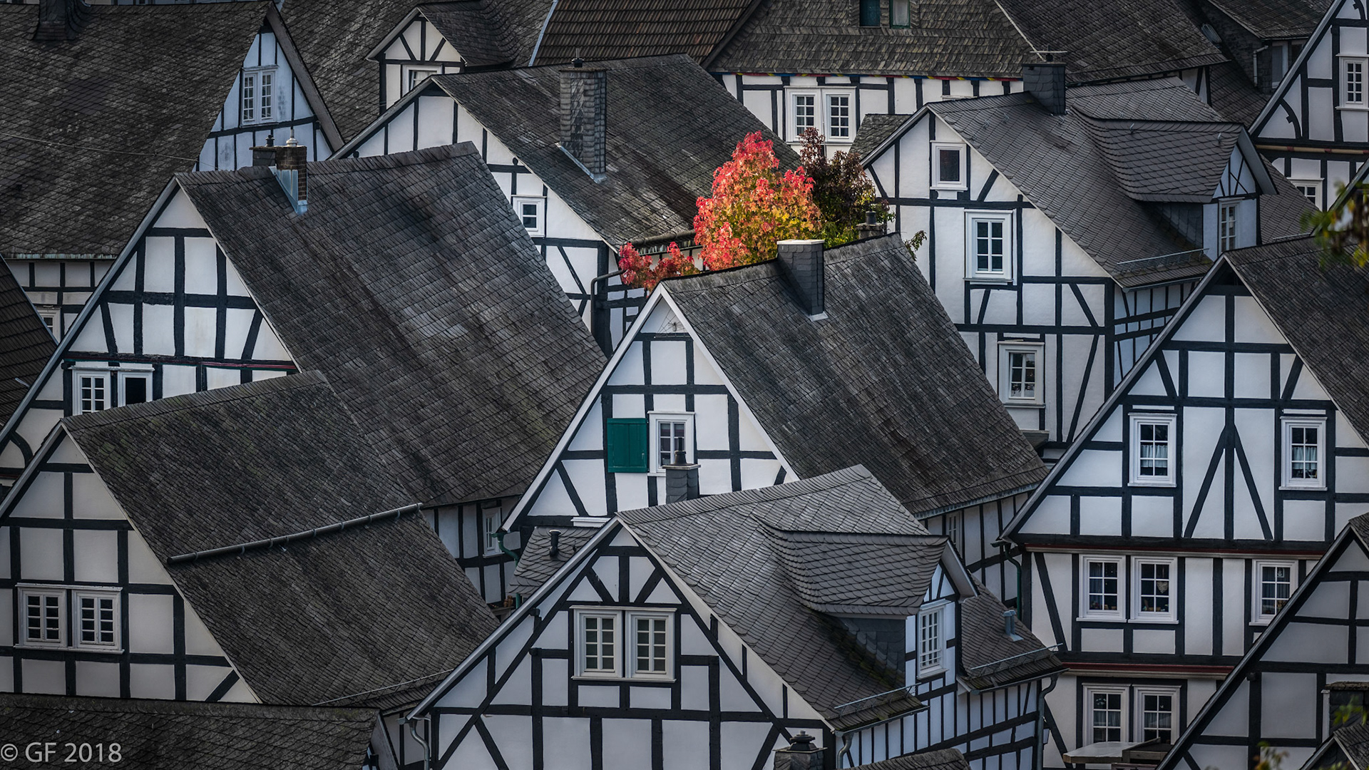 Freudenberg