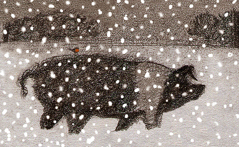 black & white pig in black & white landscape