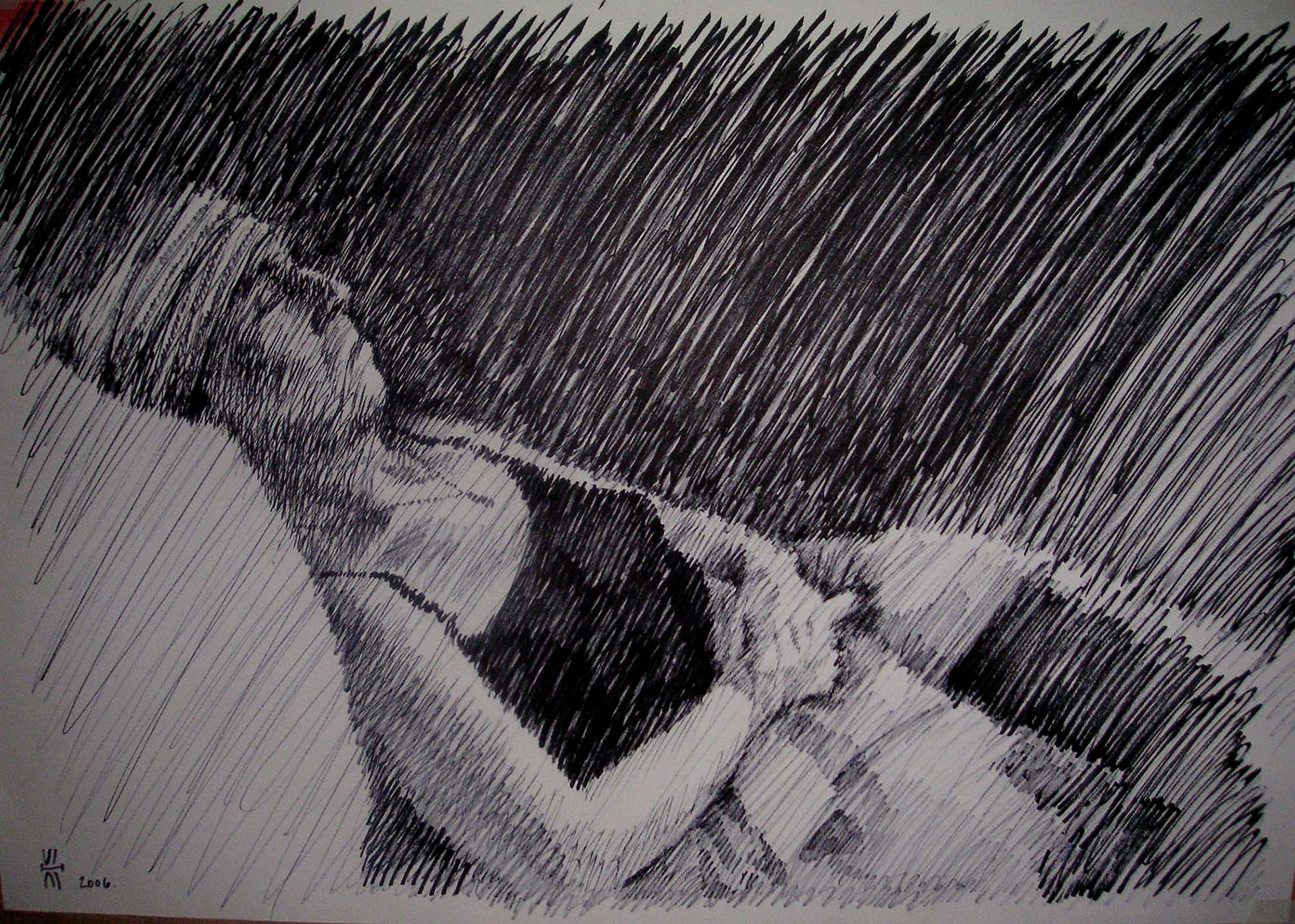 Sandra, felt pen