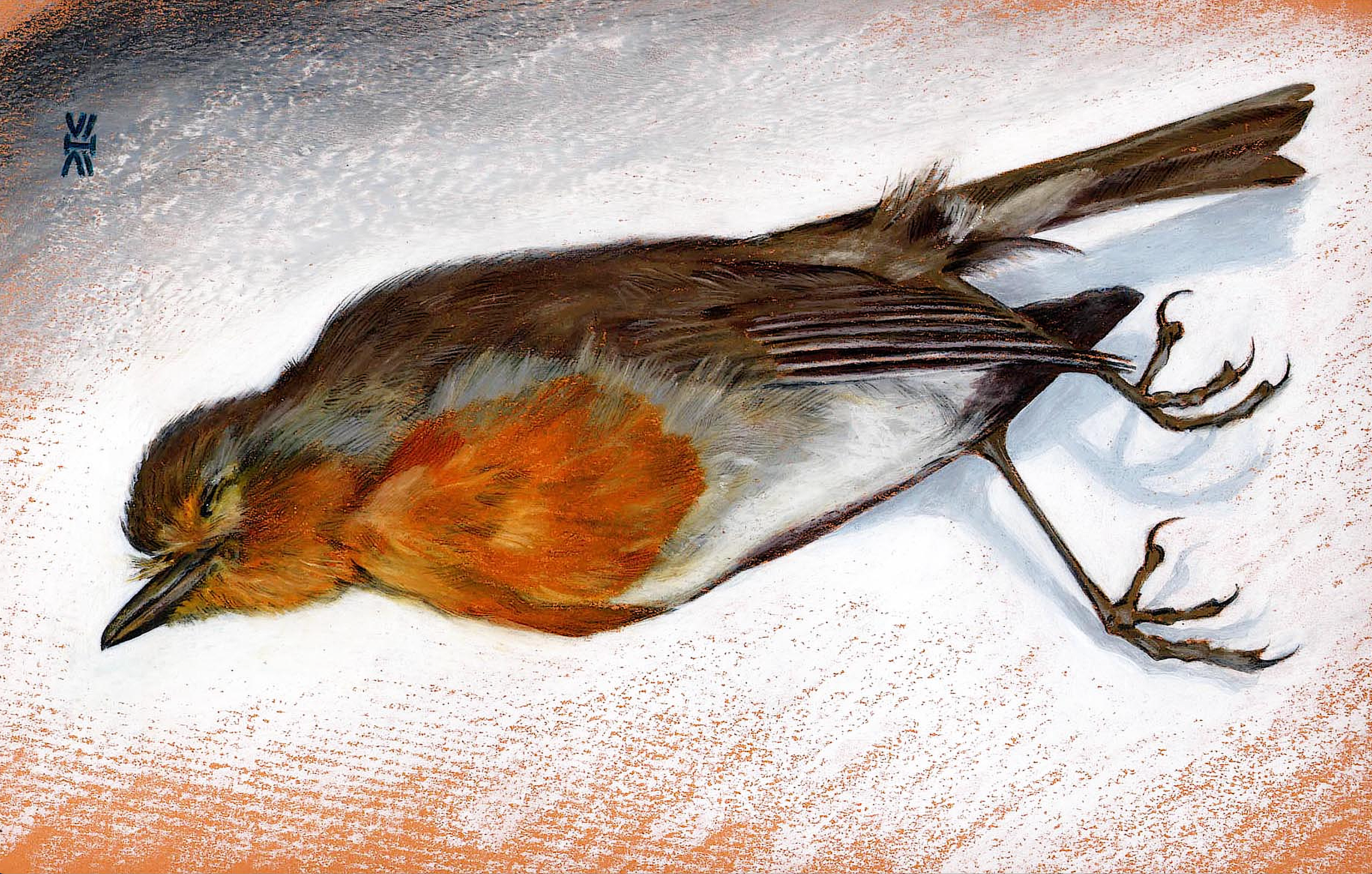 Dead Robin, oil pastel