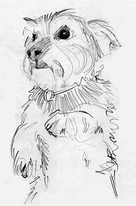 Ben, pencil