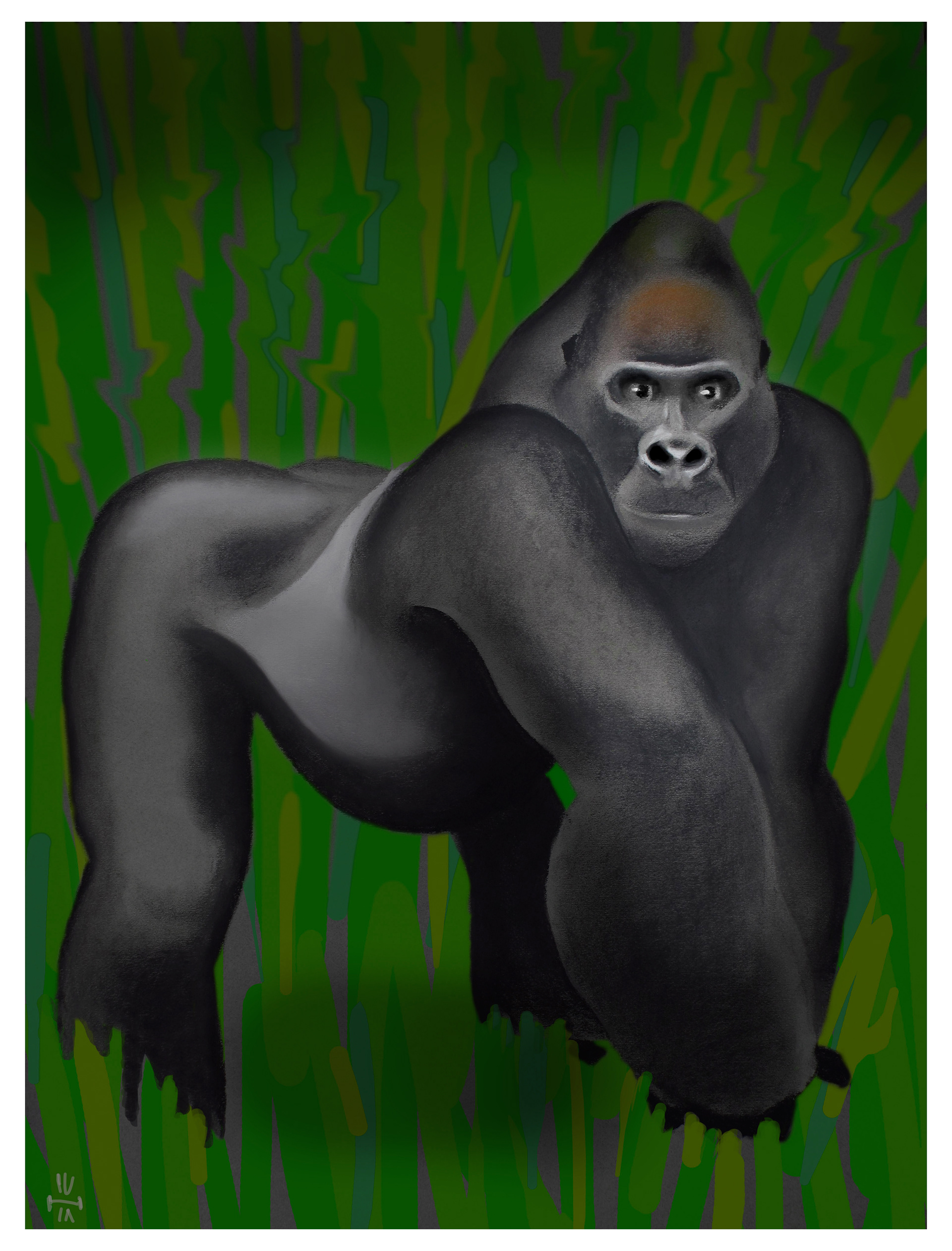 Silverback - chalk