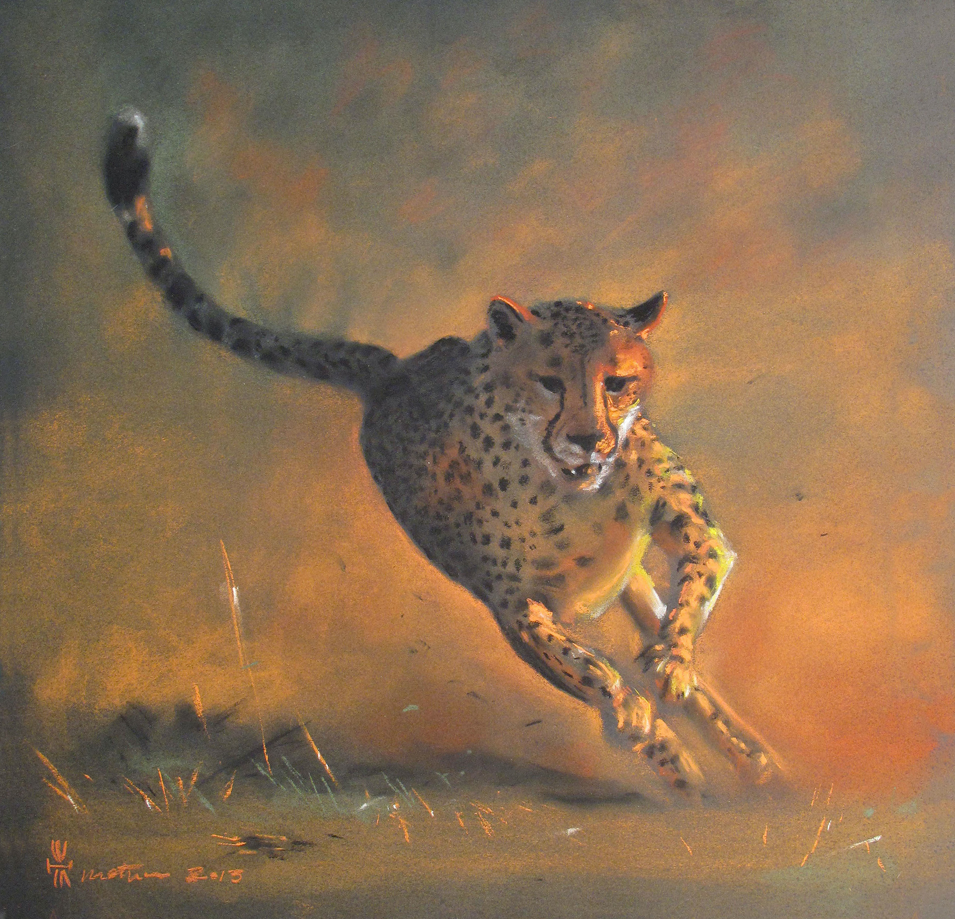 Cheetah, pastel