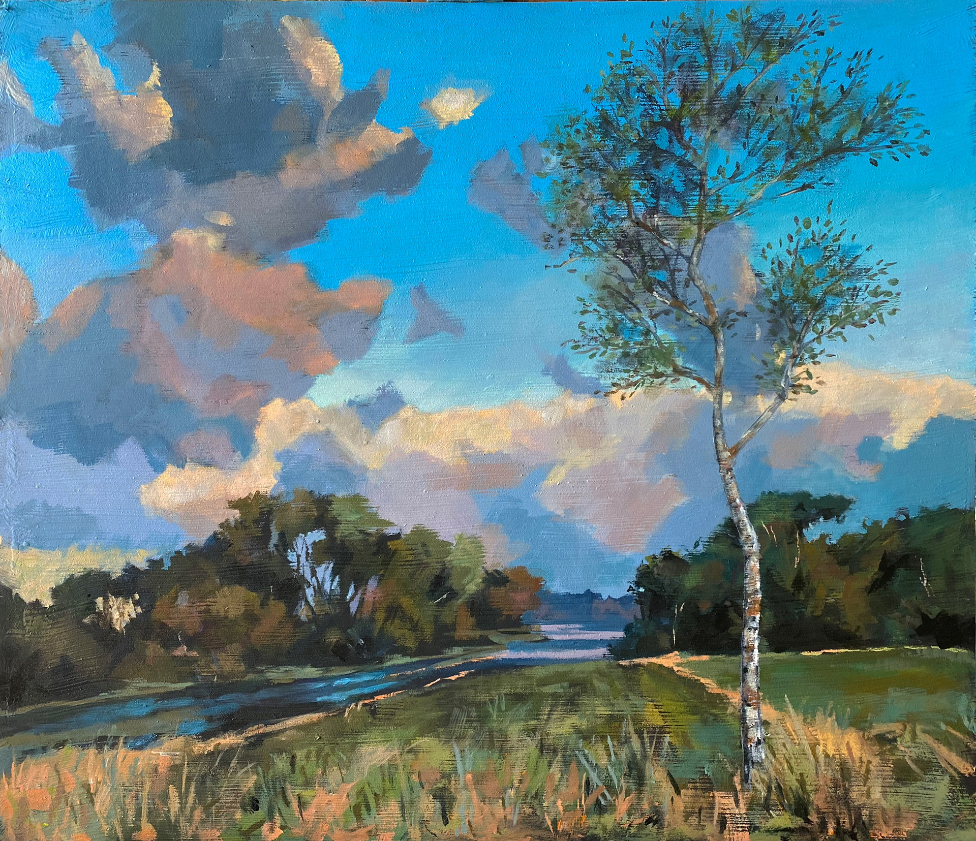 Birch tree - oil on wood