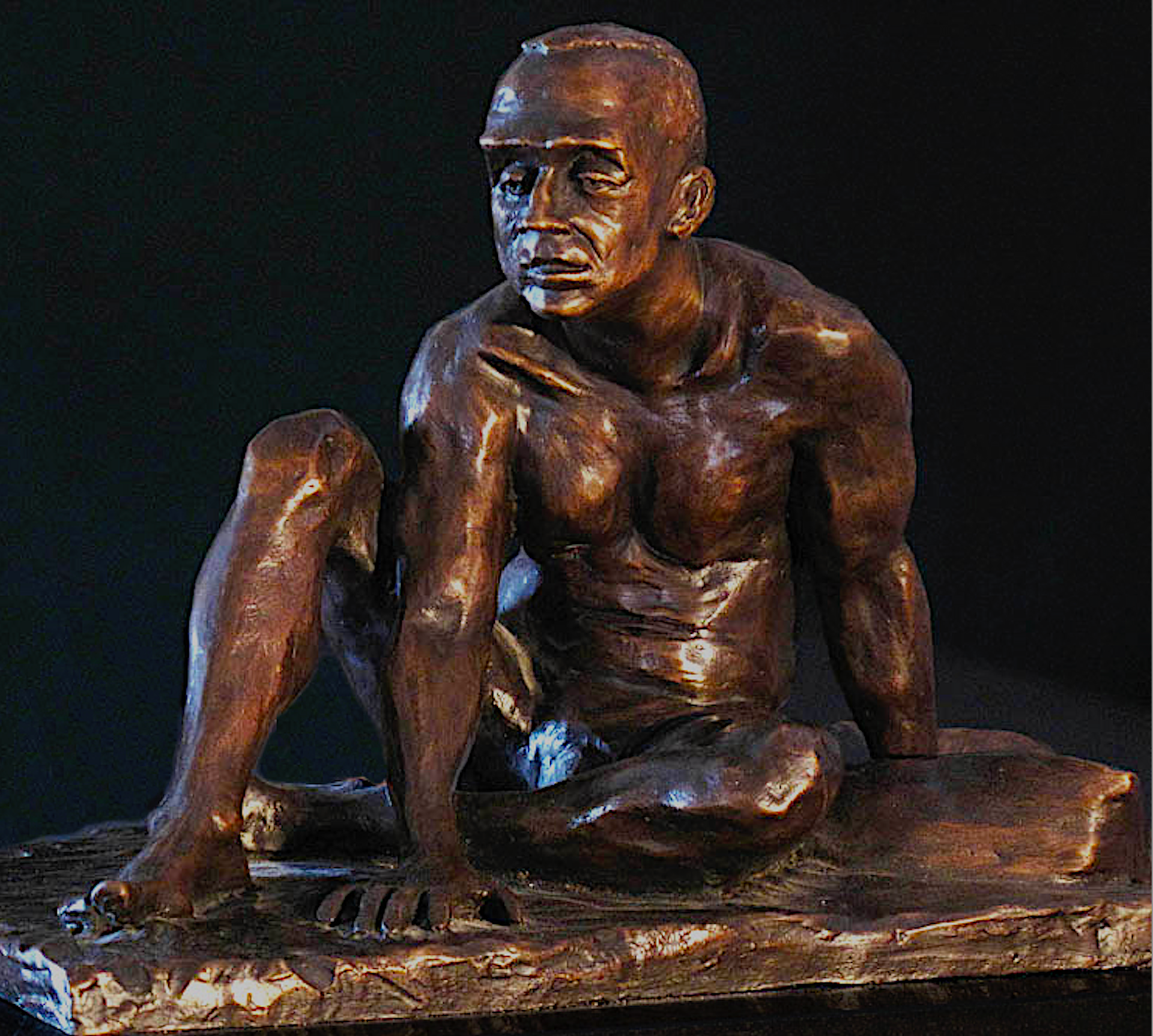 Steve - bronze