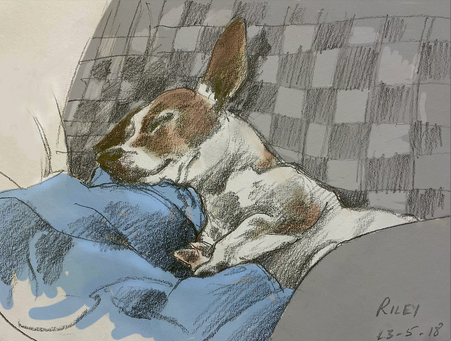 Riley, pencil & wash