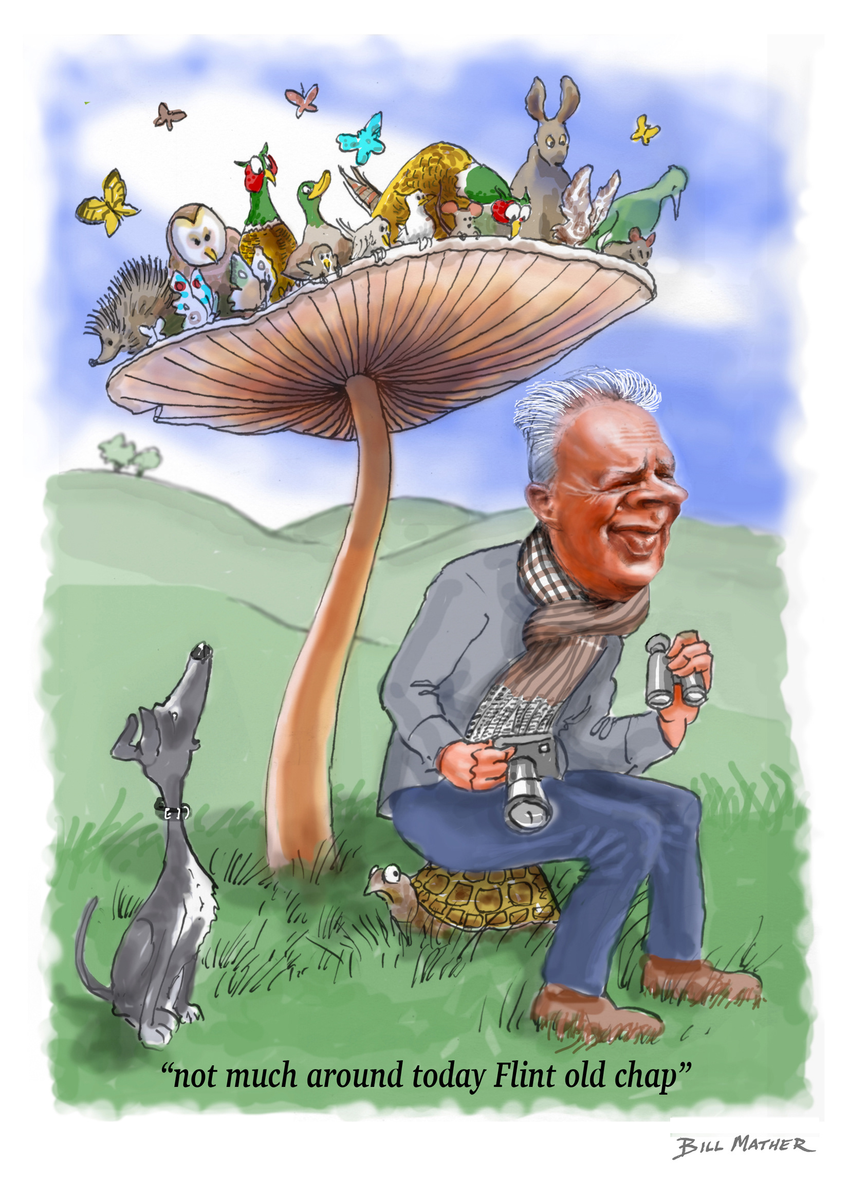 David, writer & wildlife lover
