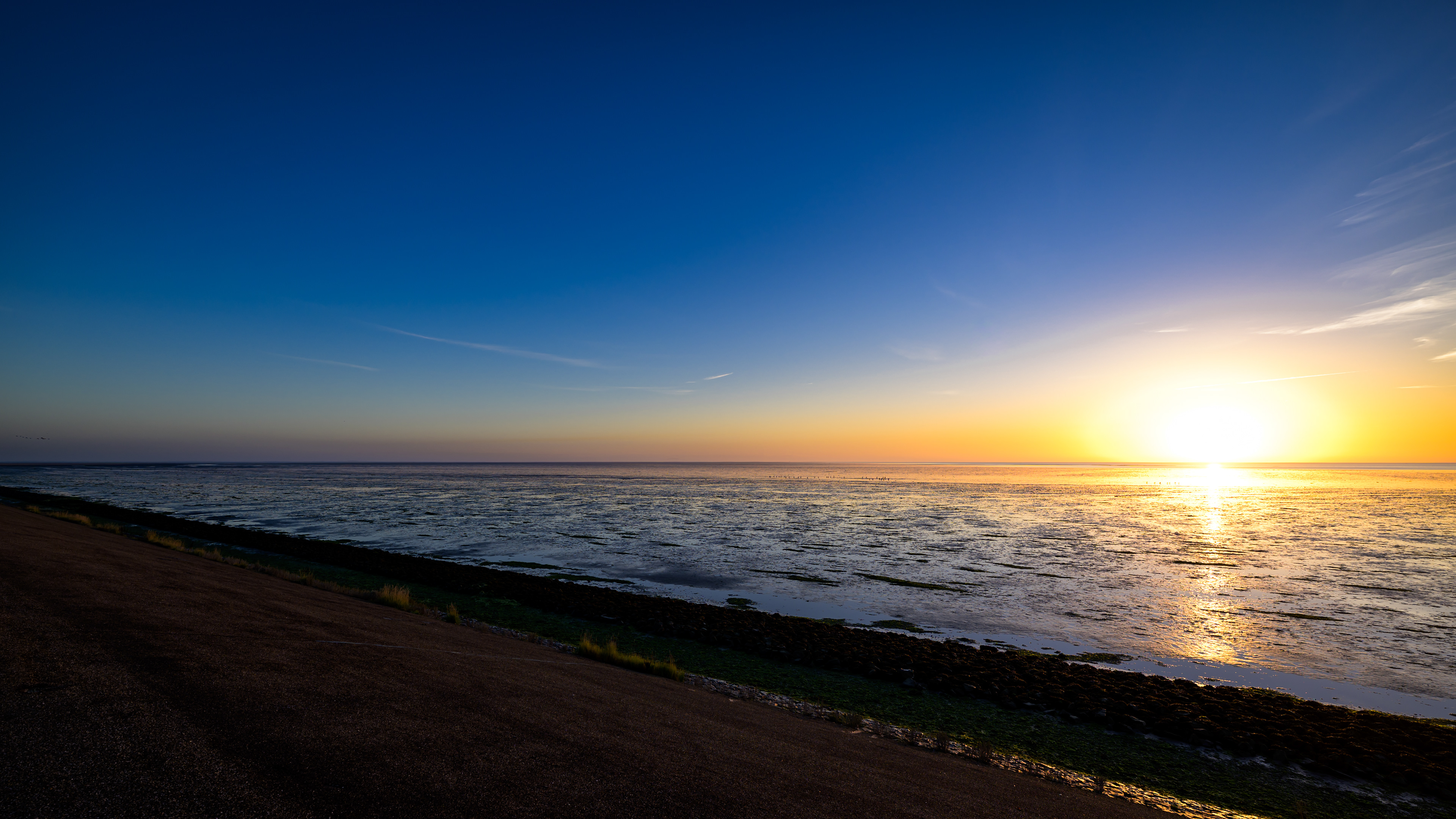 Aan de Waddendijk