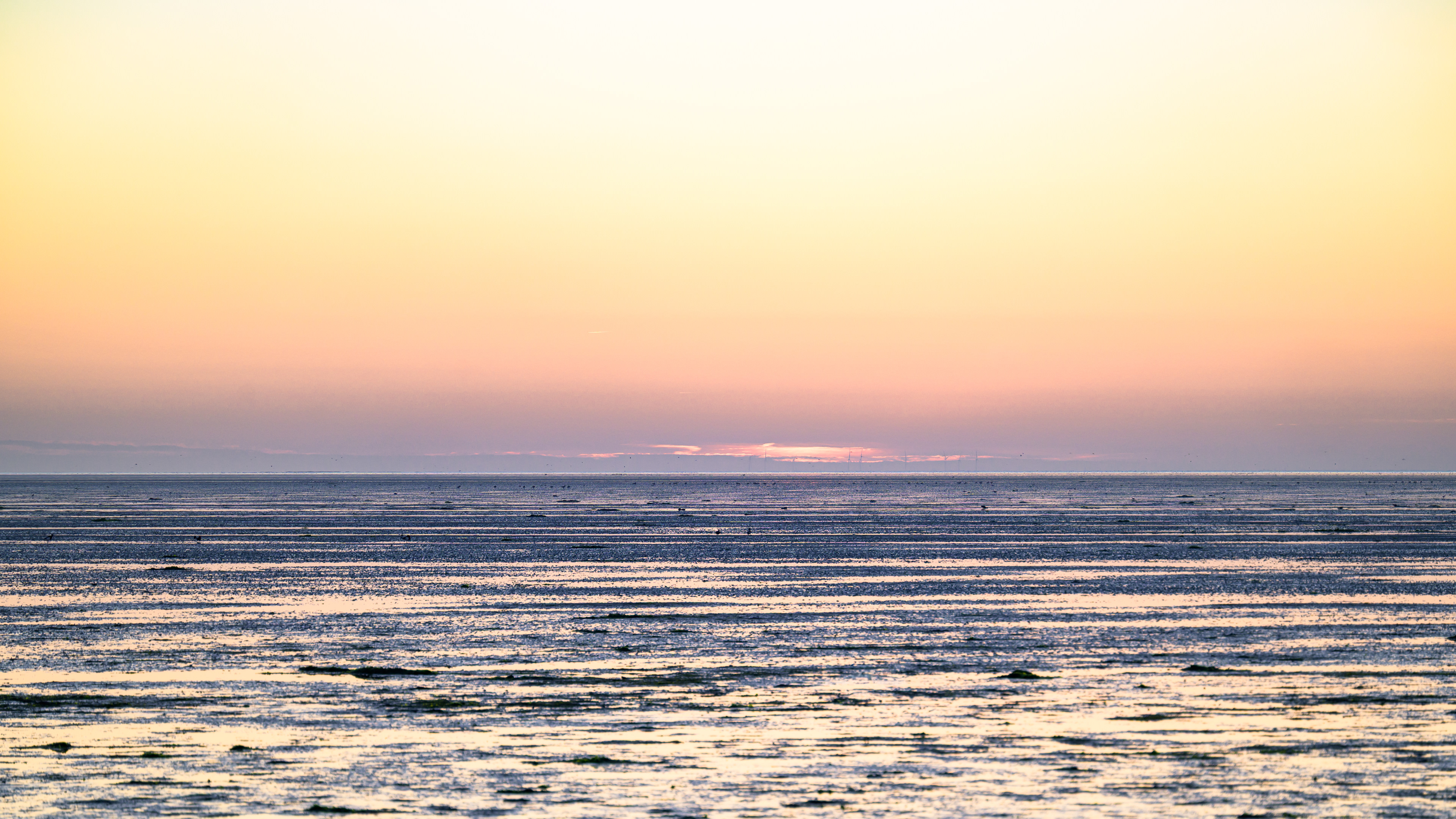 Aan de Waddendijk