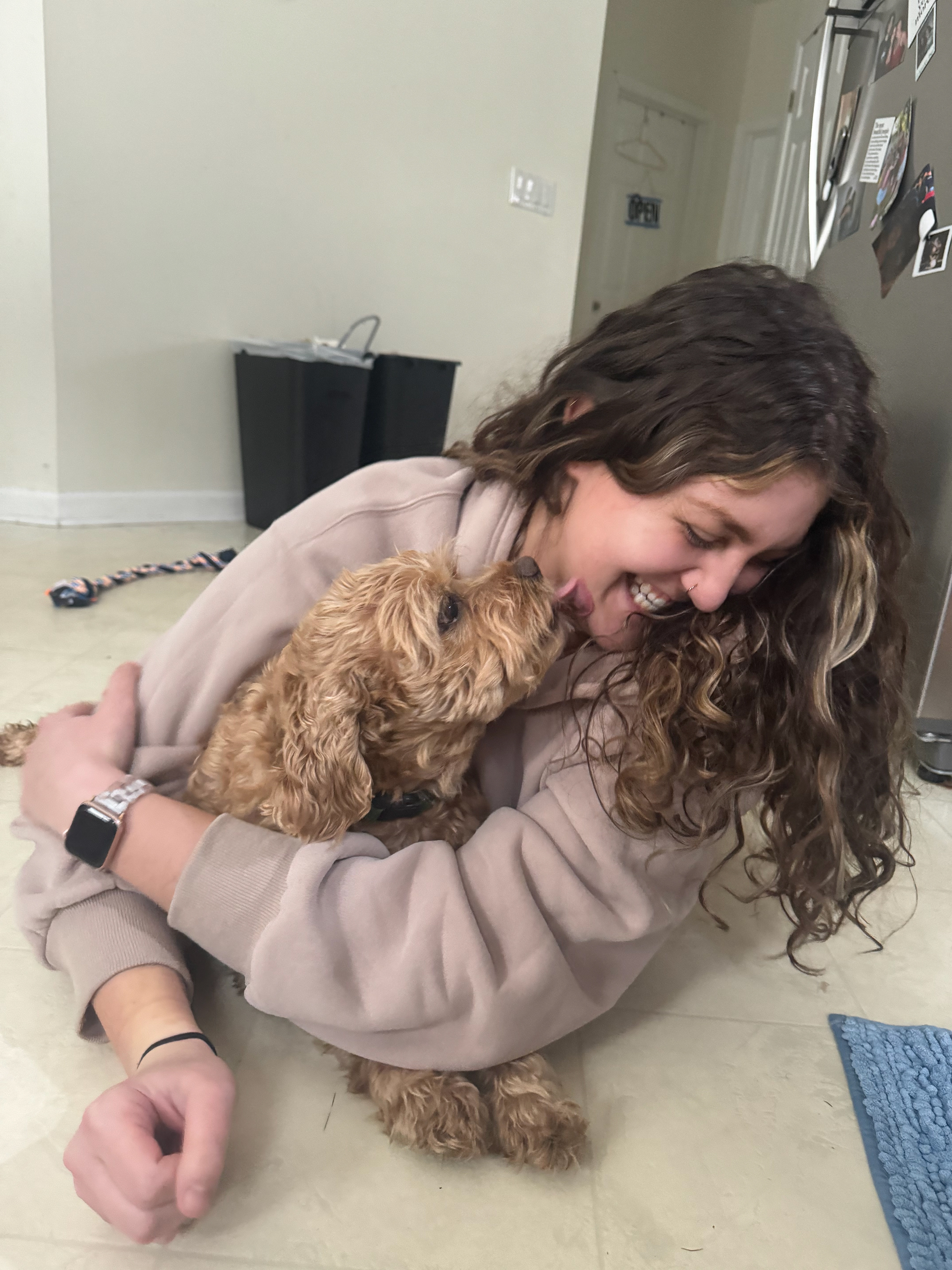 Playing with dogs!