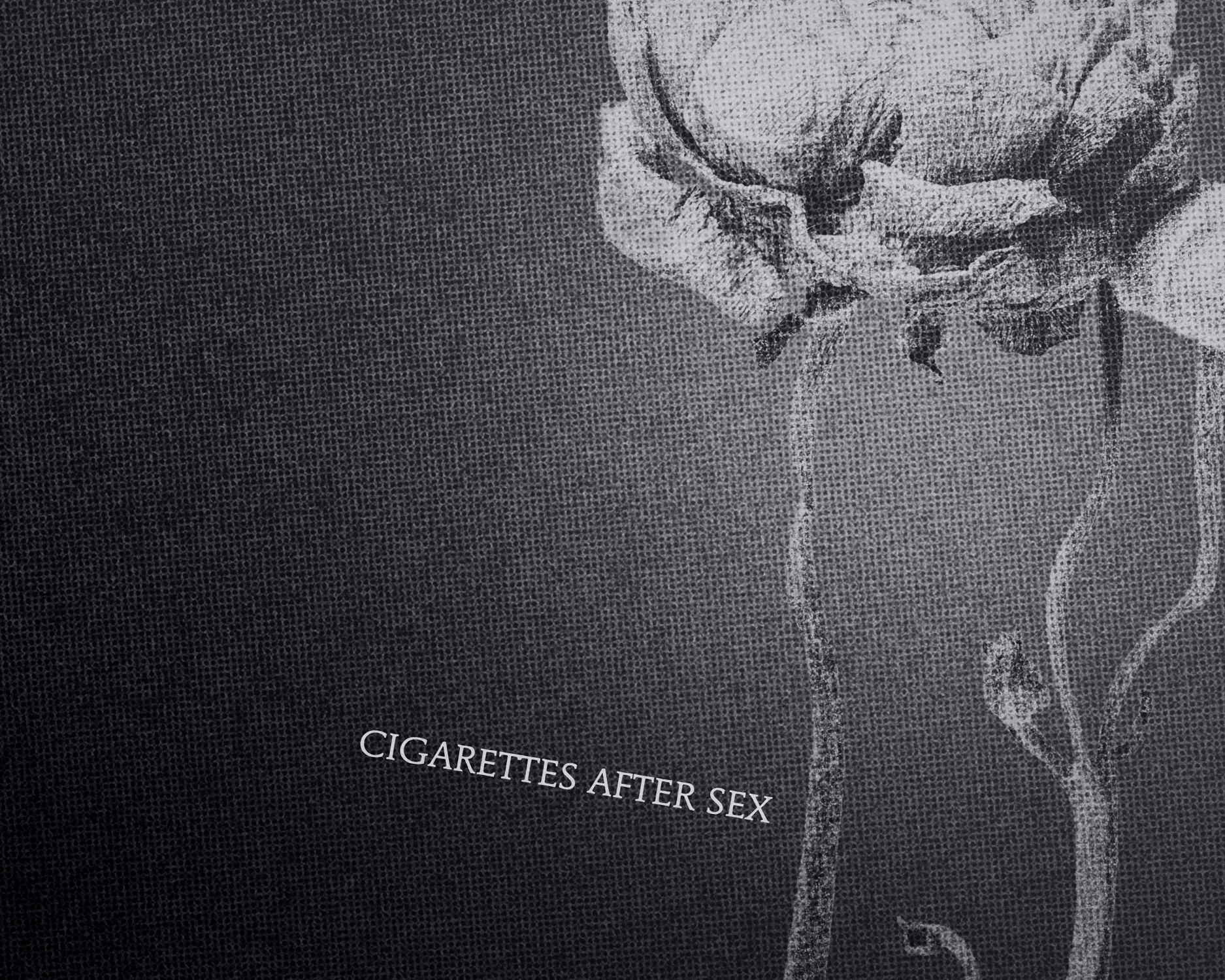 A vinyl sleeve mockup for the debut album of Cigarettes After Sex. 