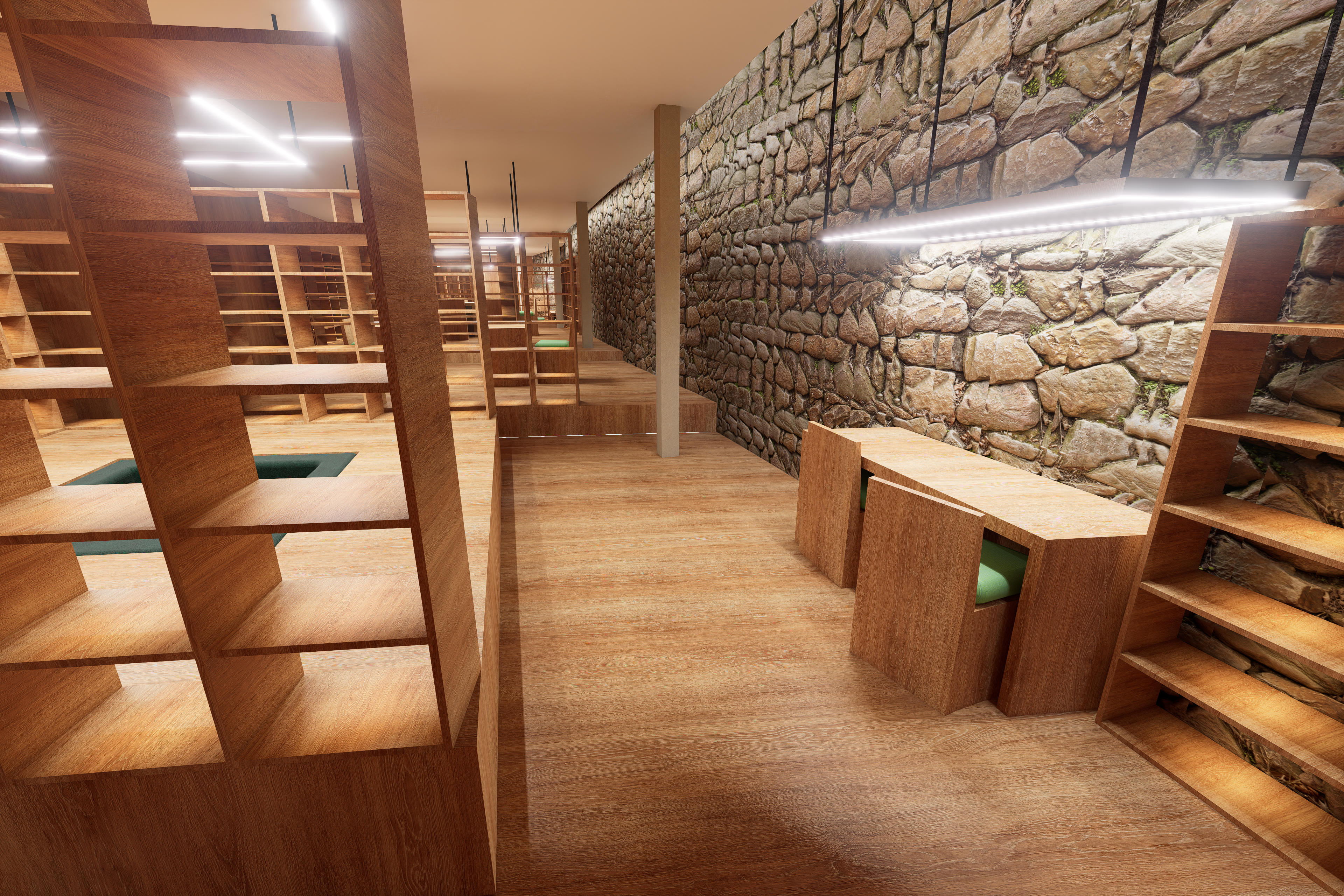 Library with Split-Level Flooring