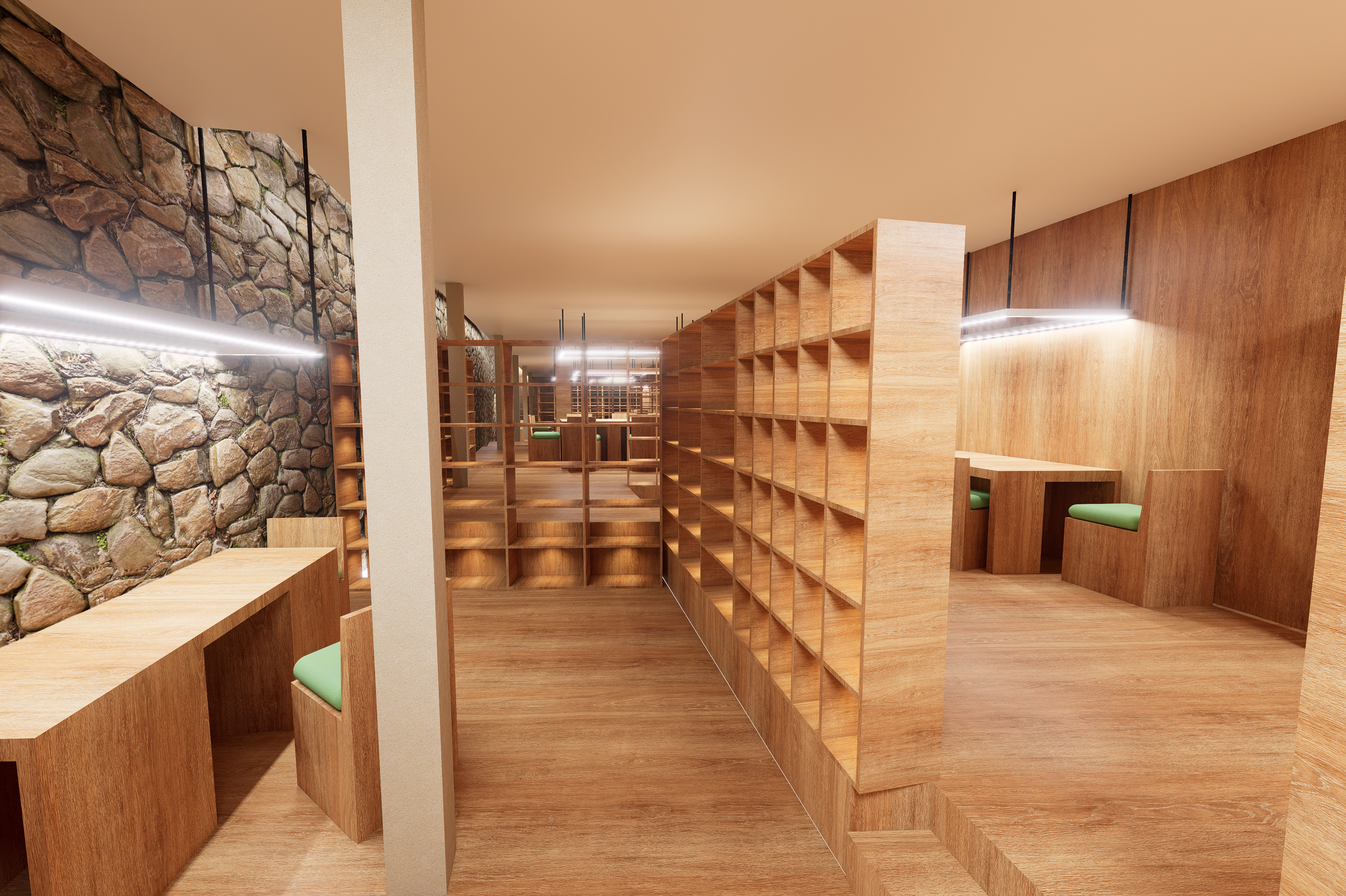 Library with Split-Level Flooring