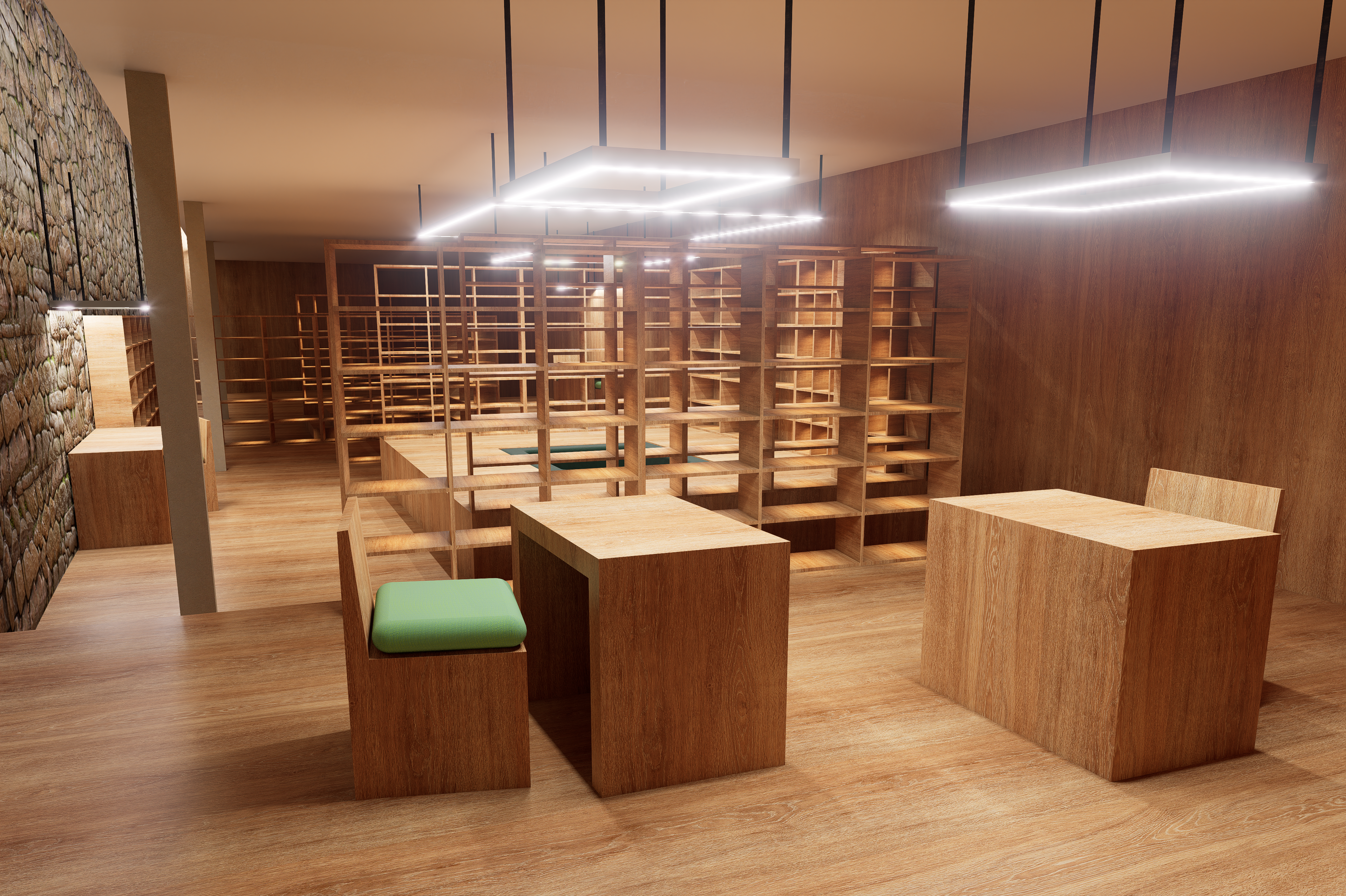 Library with Split-Level Flooring