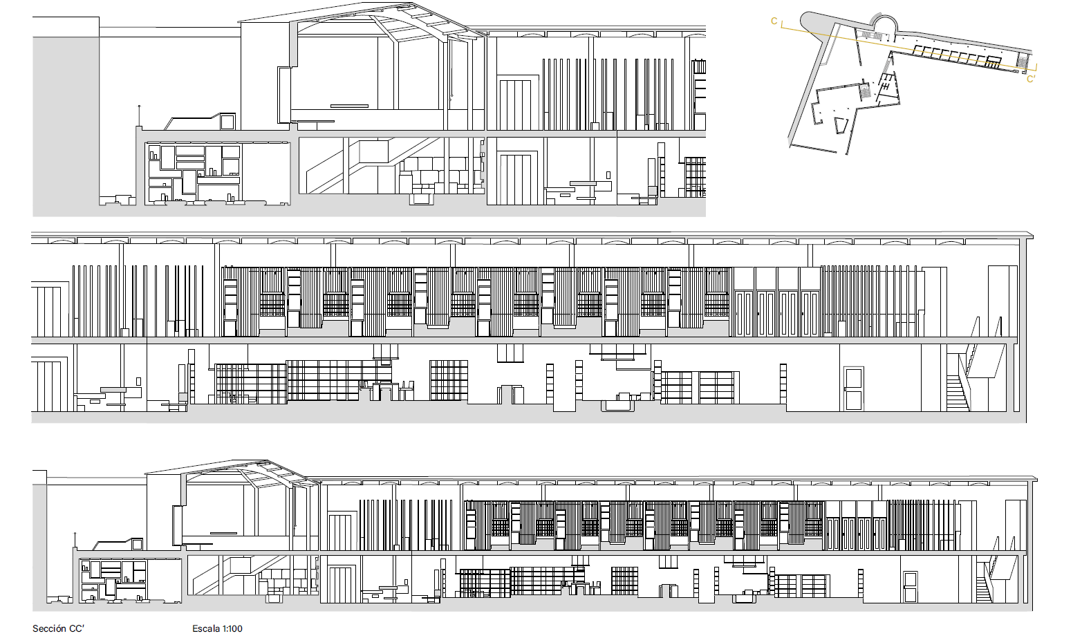 Dimensioned Longitudinal Section