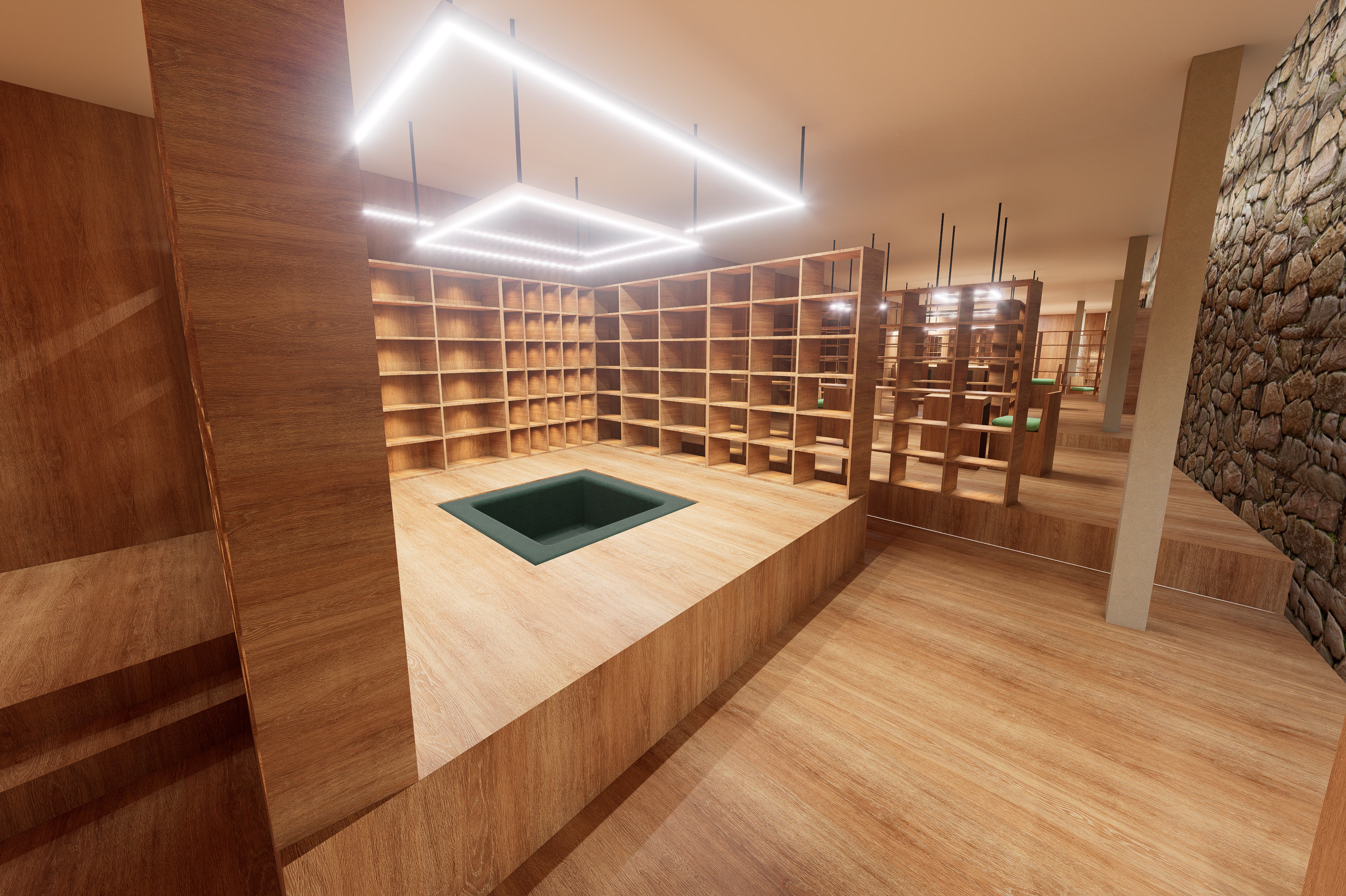 Library with Split-Level Flooring
