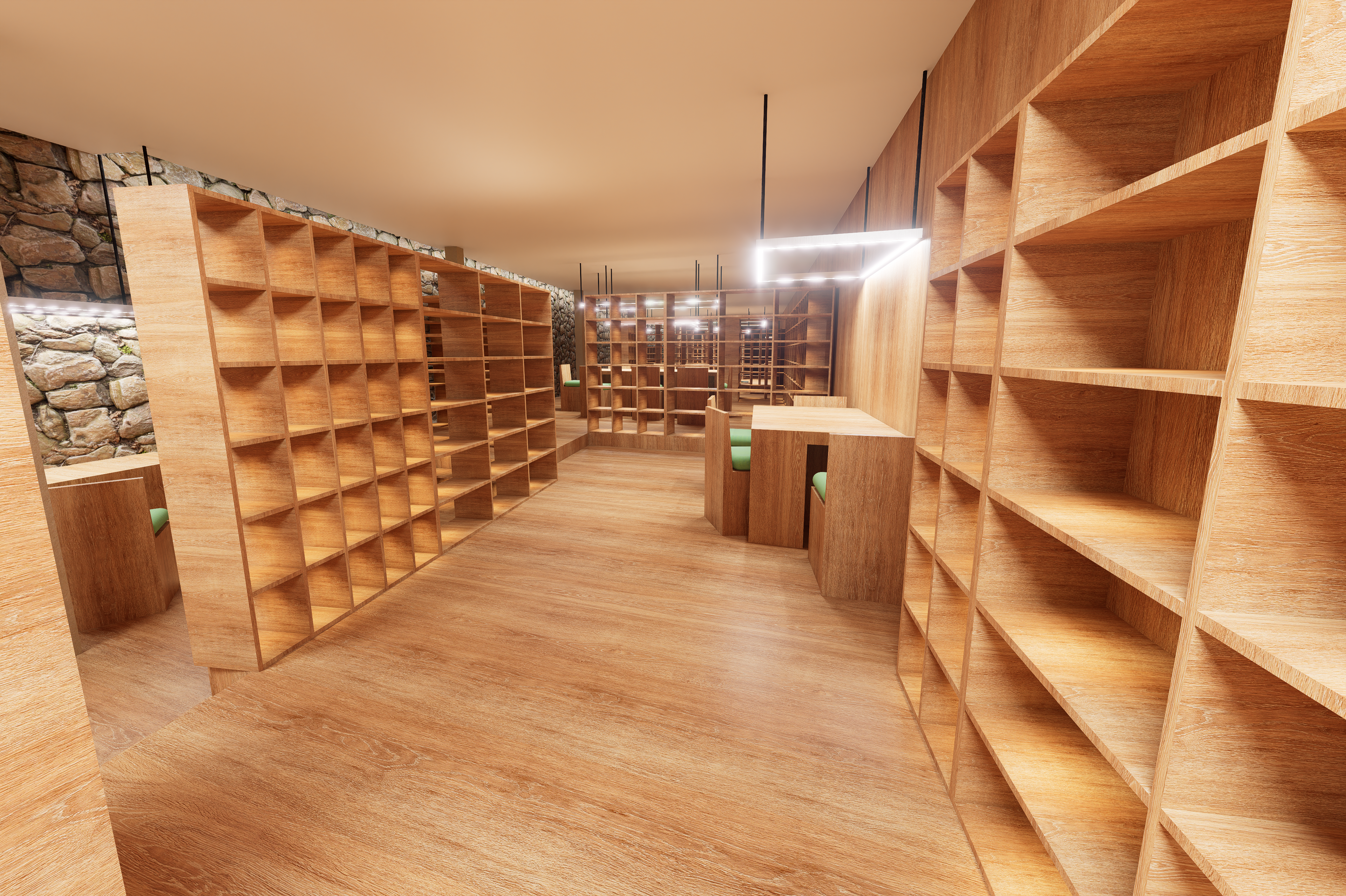 Library with Split-Level Flooring