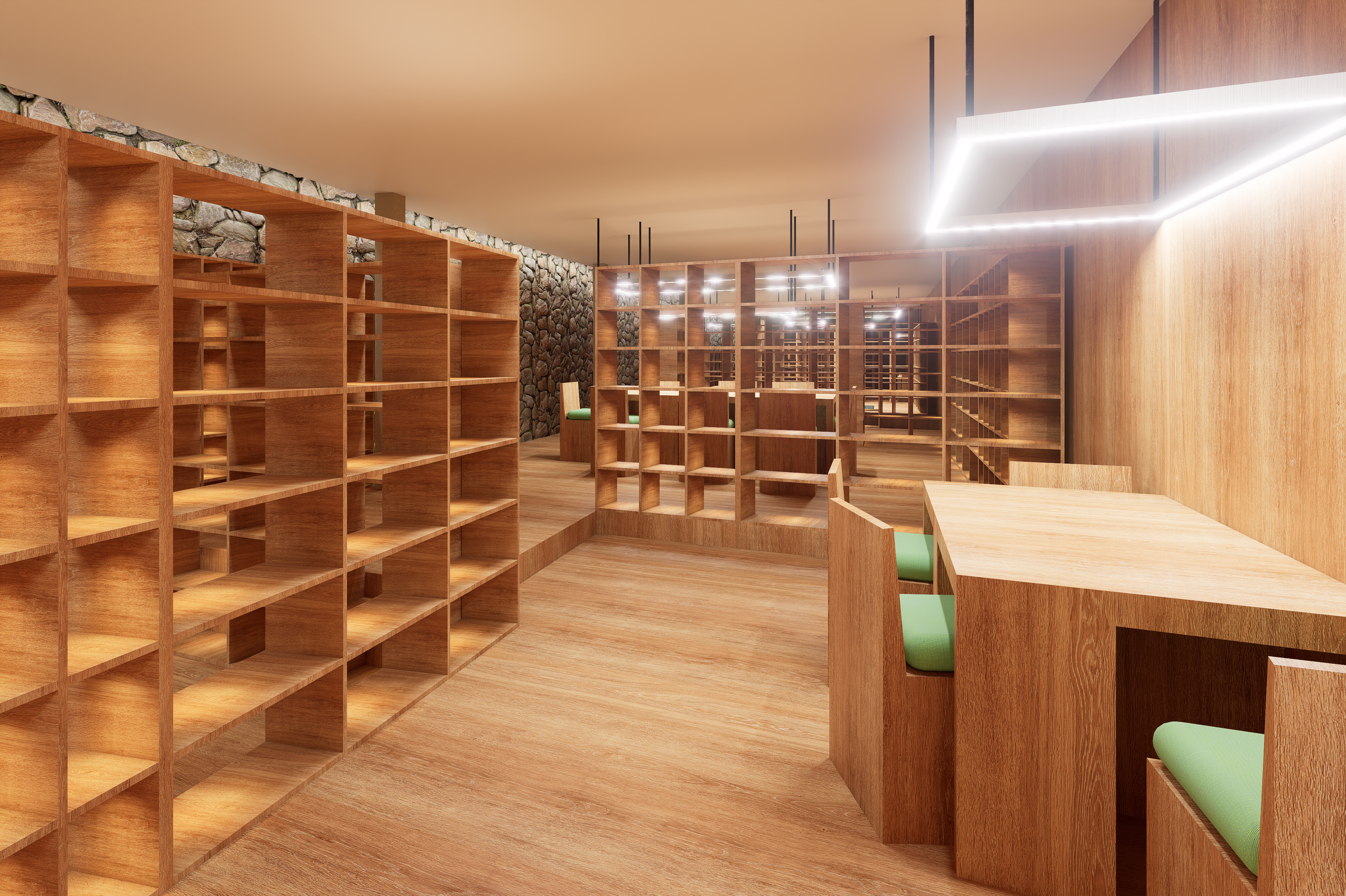 Library with Split-Level Flooring