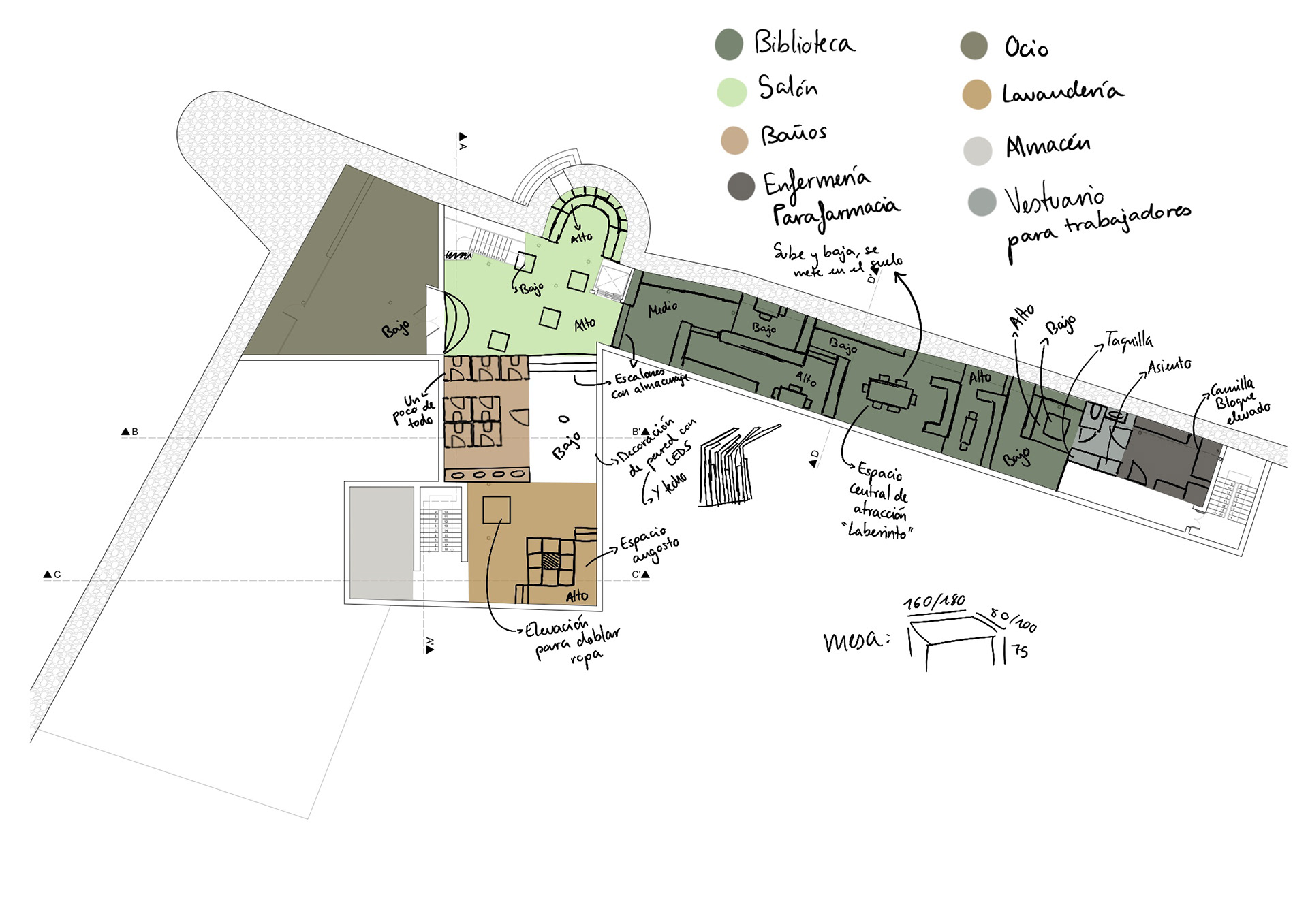 Initial Zoning and Space Planning Layout