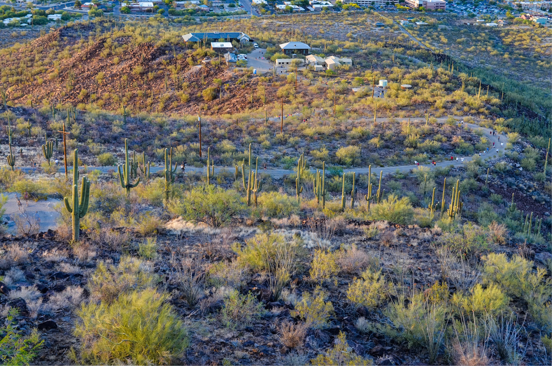 Desert Lab and Walkers on Tumamoc Road
