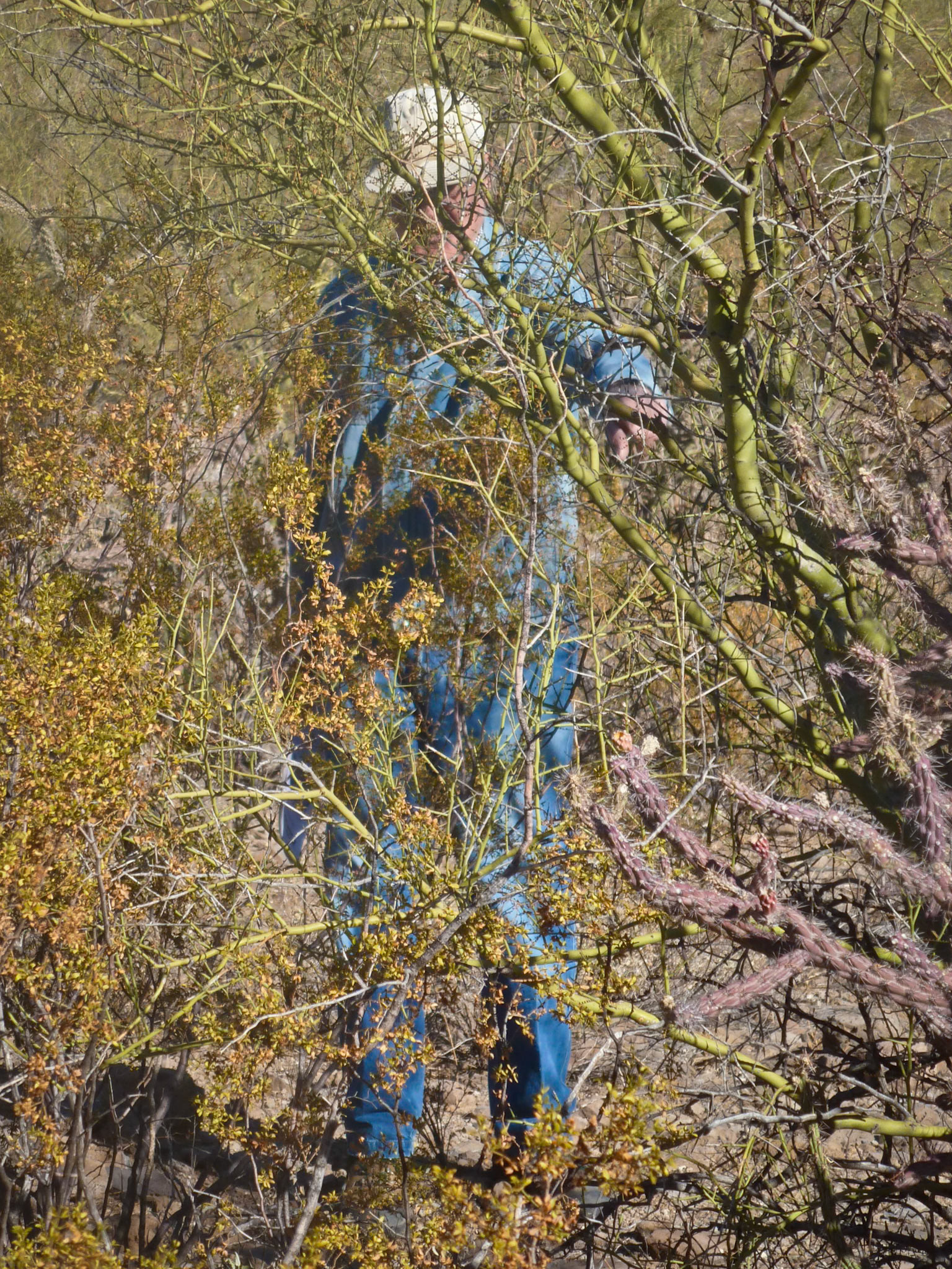 Botanist Ray Turner