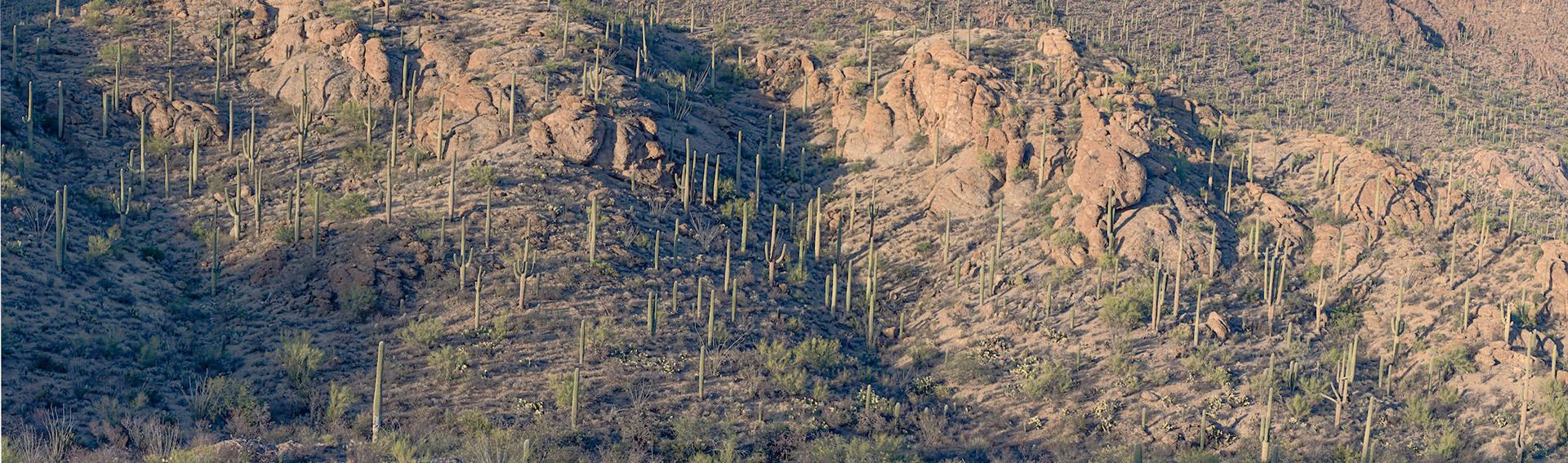 Megapixel image, 8 x 30 ft