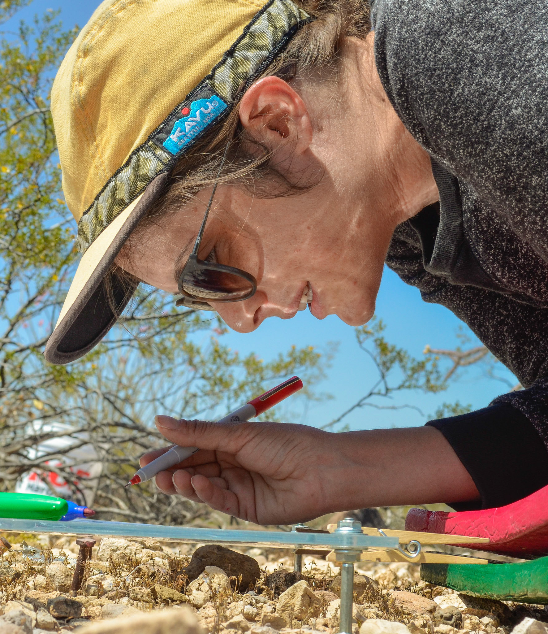 Botanist Ursula Recording Annual Seedling Germination