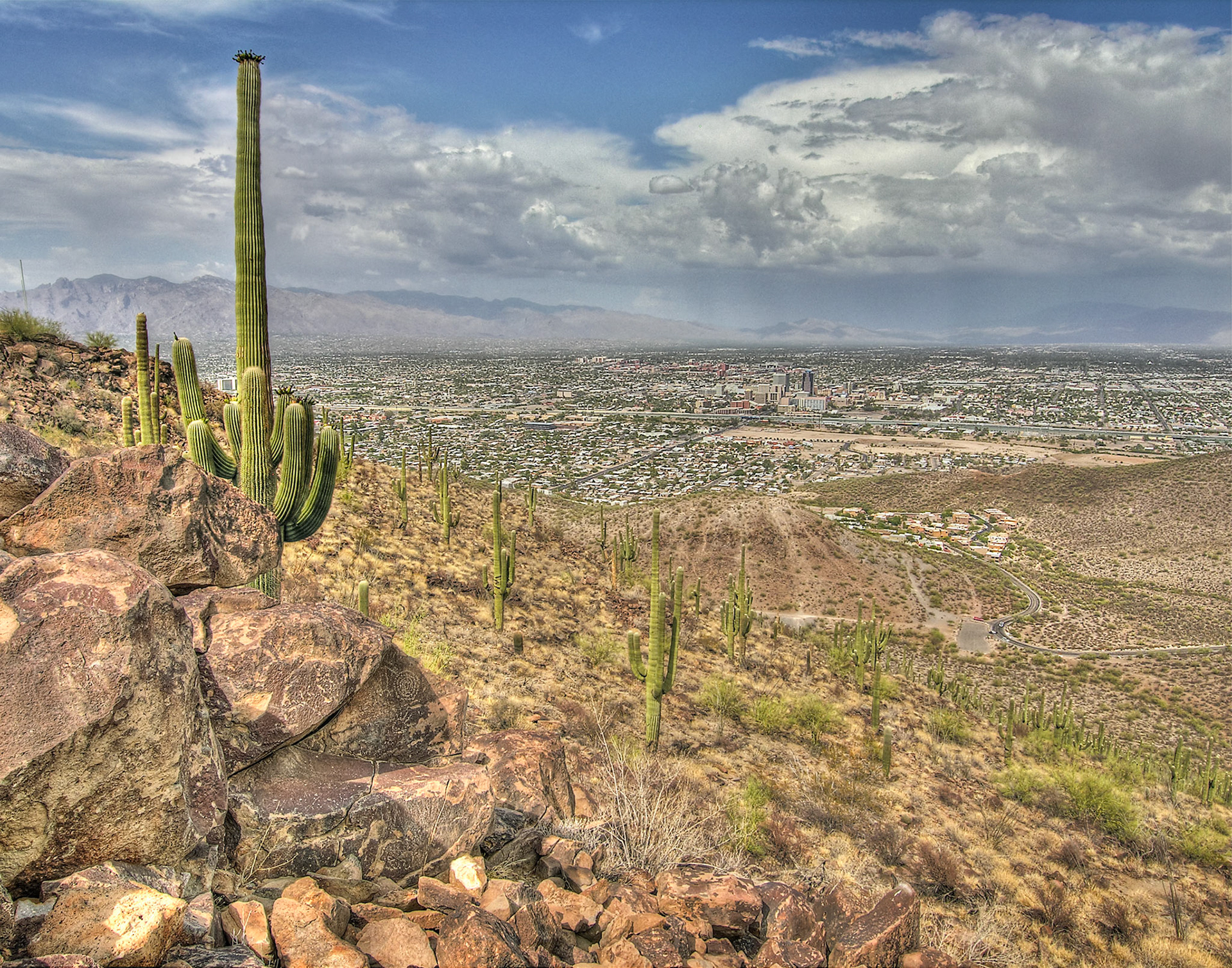 City view of Tucson from Tumamoc Hill