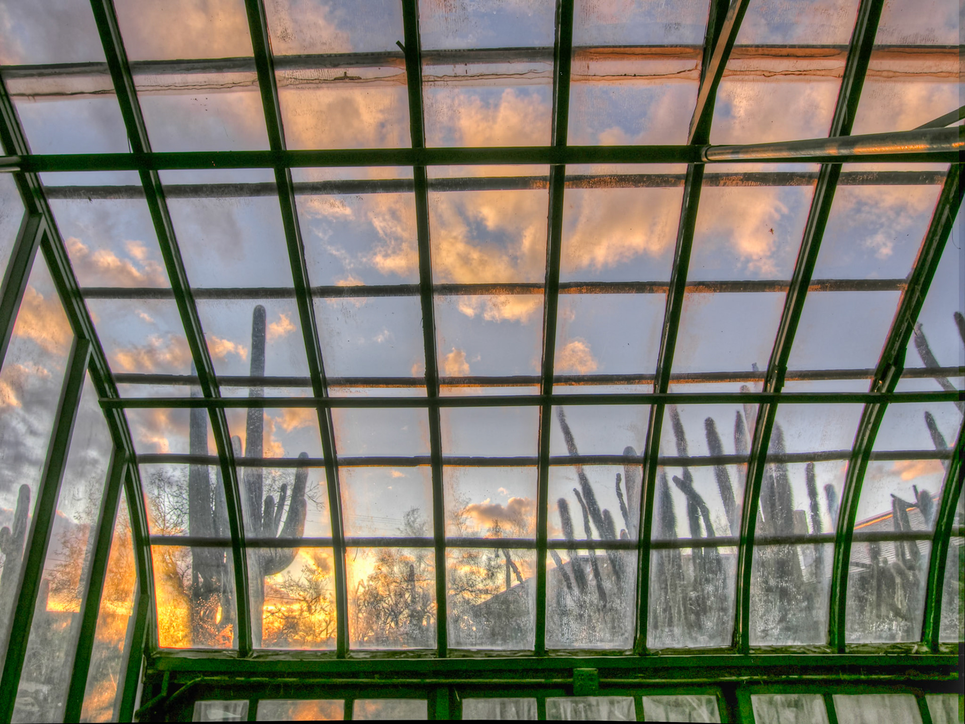 Greenhouse, 2011