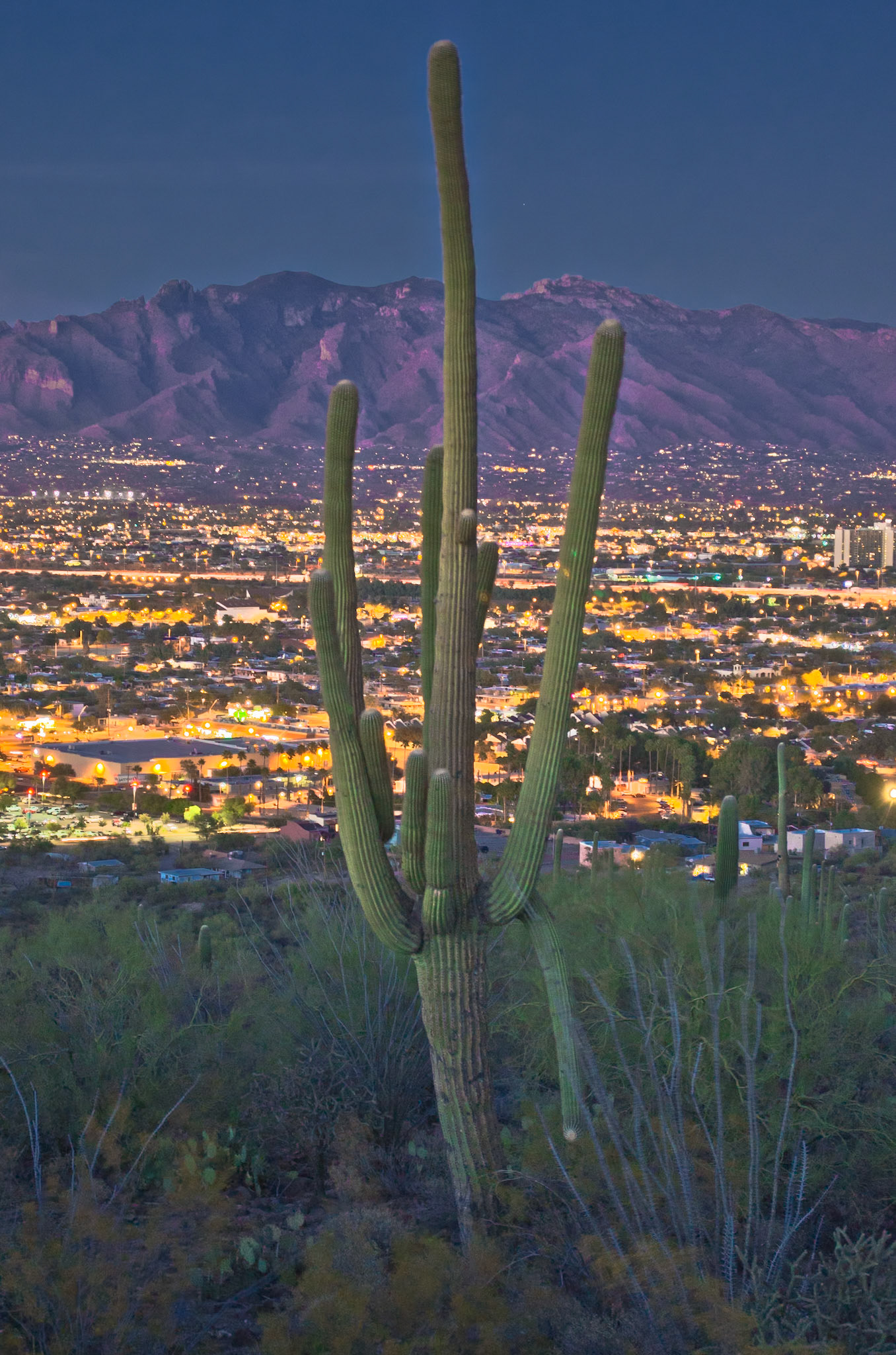 Tucson at Sunset